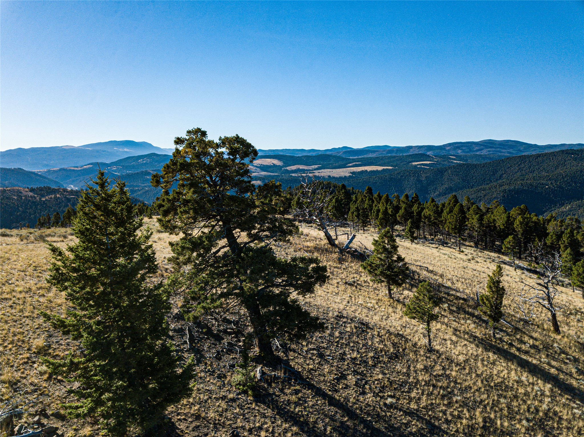 Tbd (40.1 +/- Ac) High Ore Road Property Photo 22