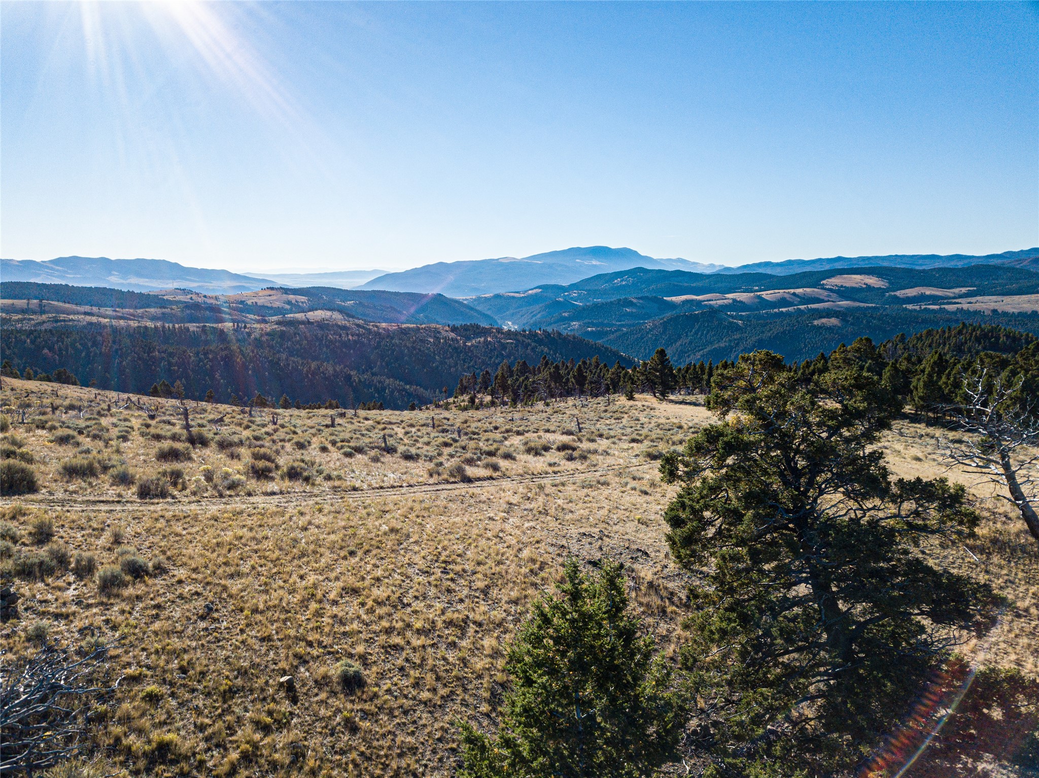 Tbd (40.1 +/- Ac) High Ore Road Property Photo 24