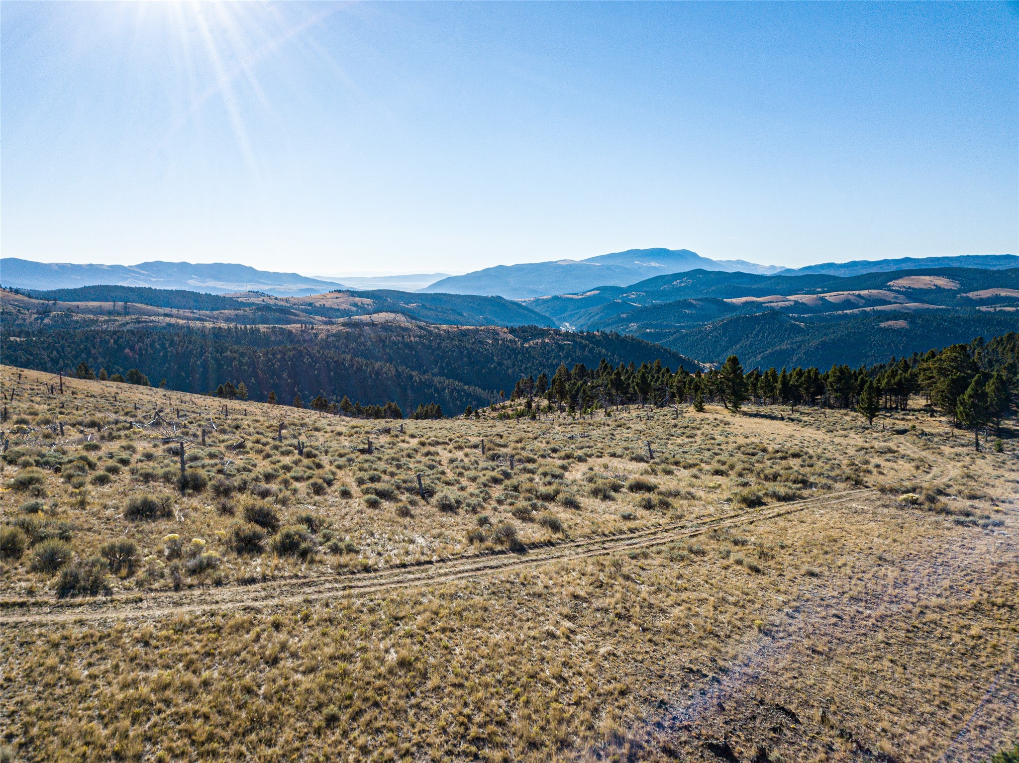Tbd (40.1 +/- Ac) High Ore Road Property Photo 25