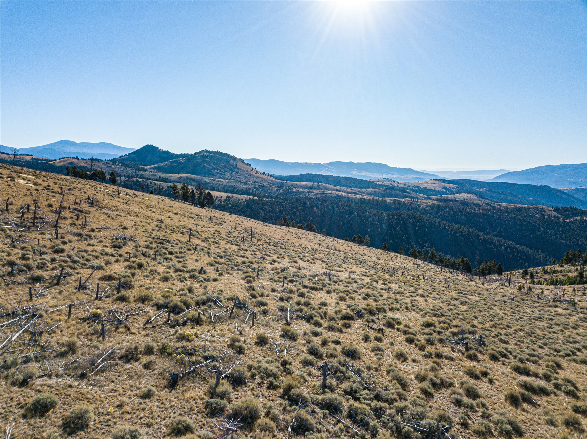 Tbd (40.1 +/- Ac) High Ore Road Property Photo 26