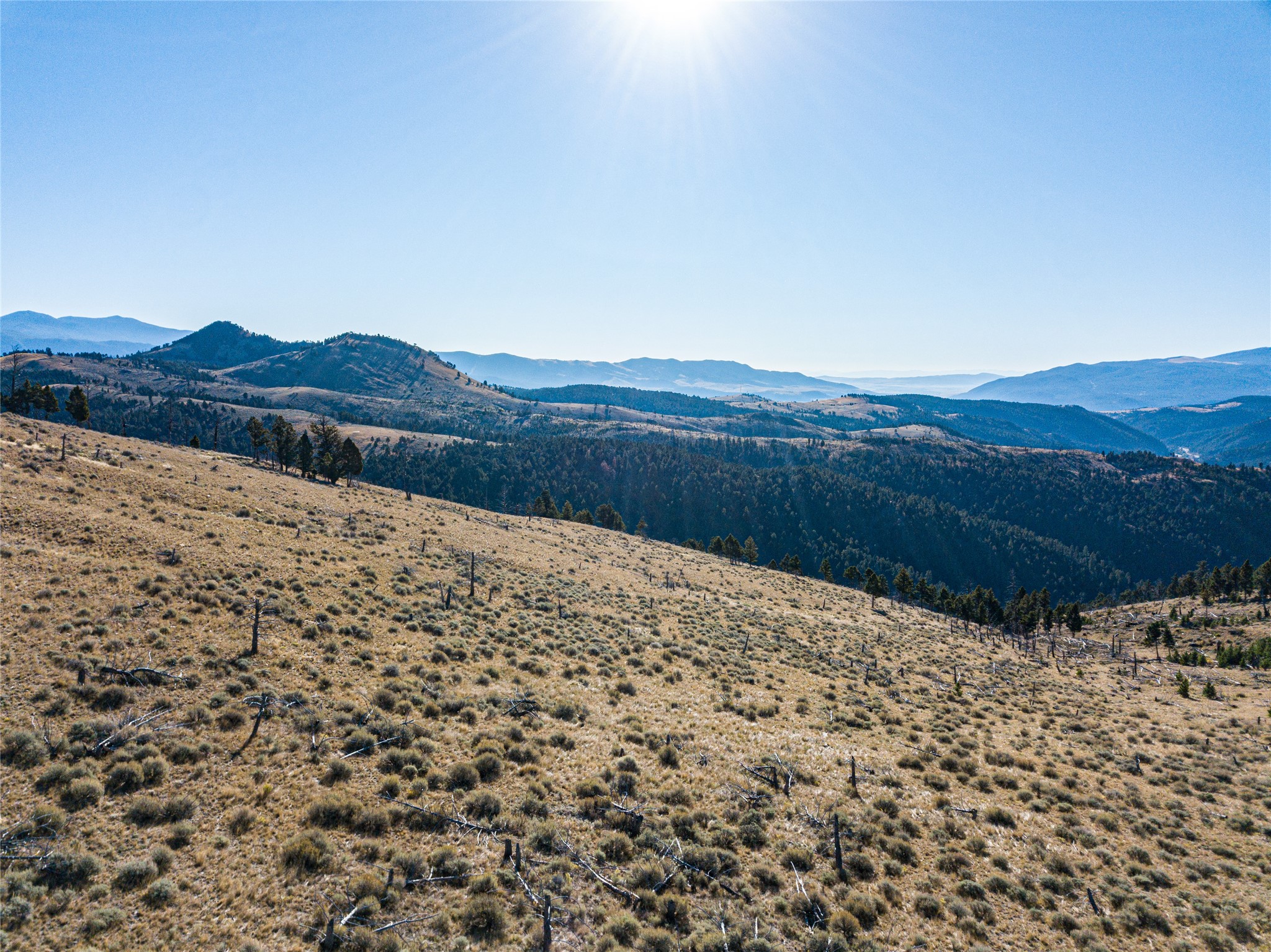 Tbd (40.1 +/- Ac) High Ore Road Property Photo 27