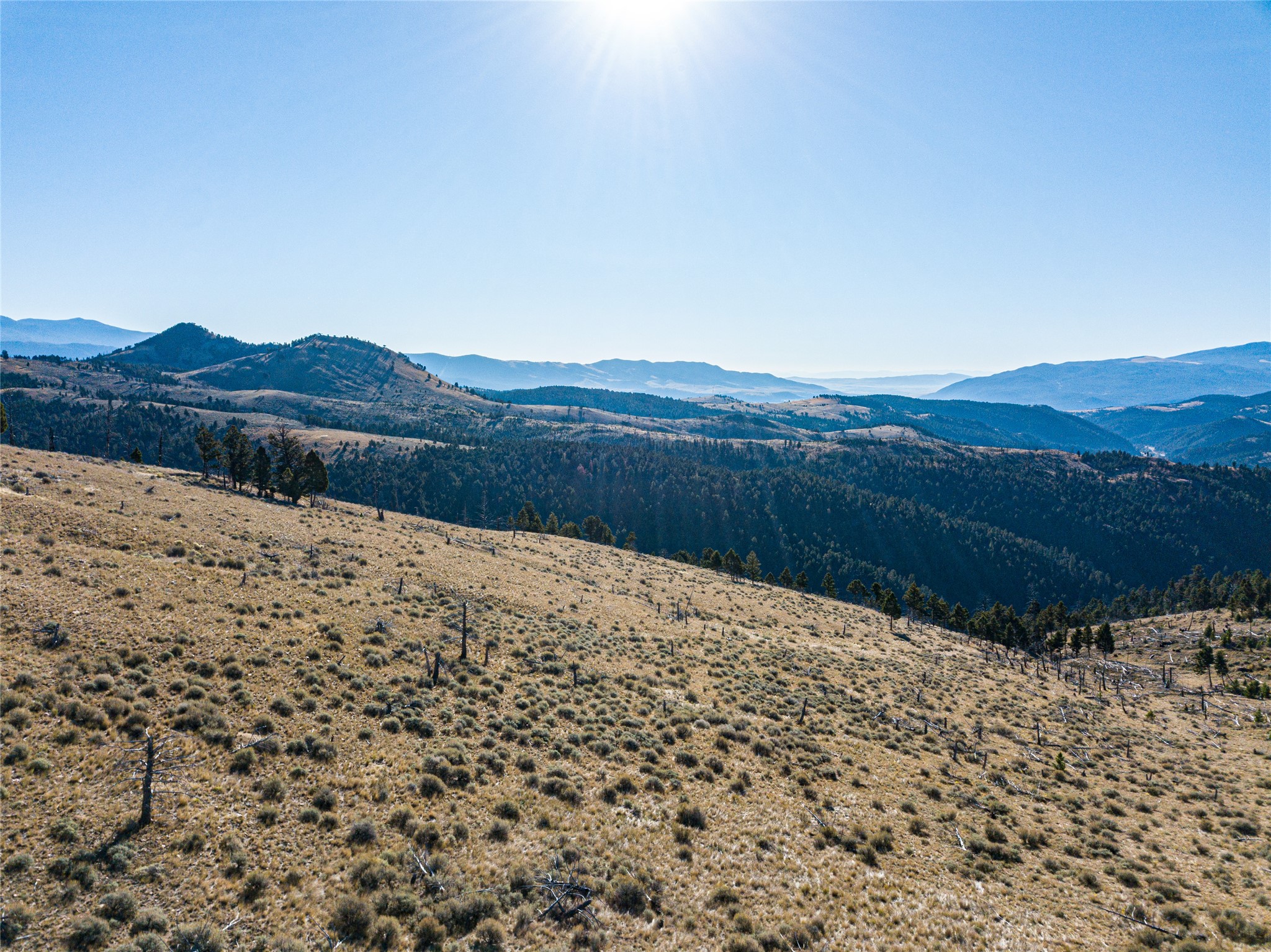 Tbd (40.1 +/- Ac) High Ore Road Property Photo 28