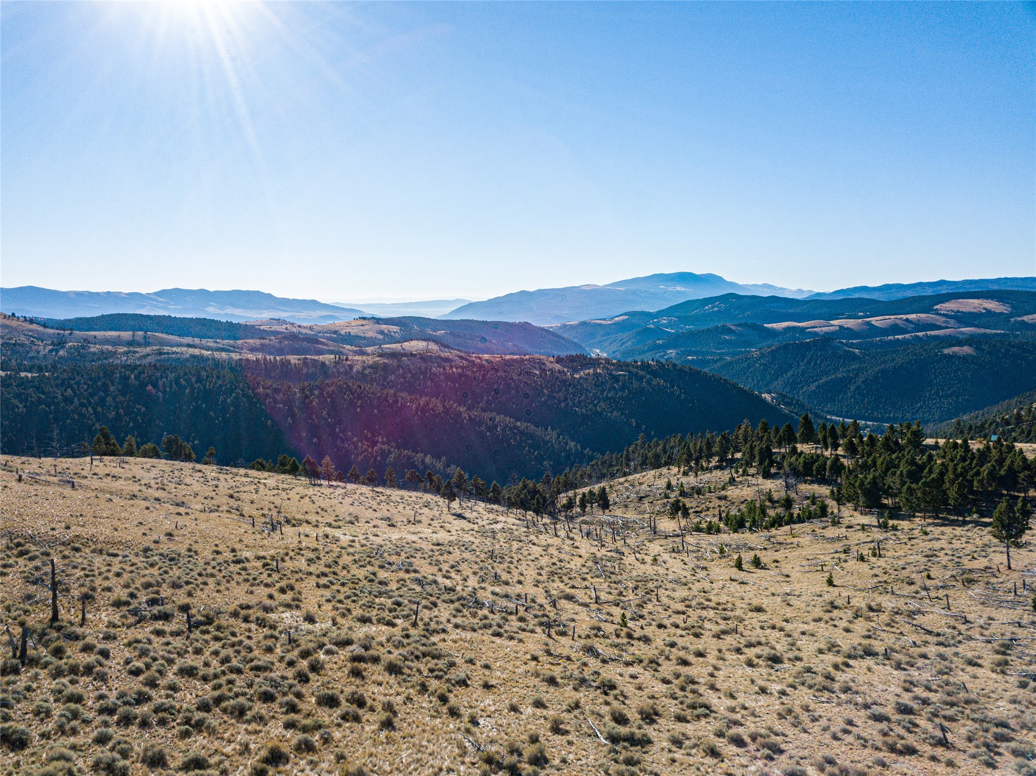 Tbd (40.1 +/- Ac) High Ore Road Property Photo 29