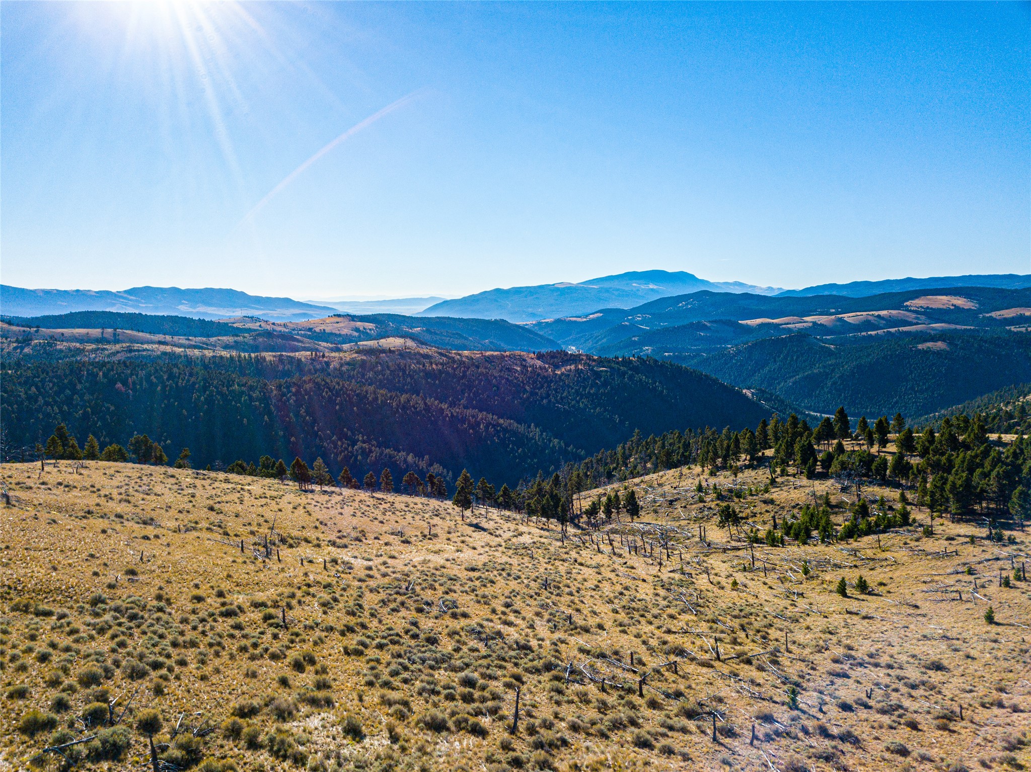 Tbd (40.1 +/- Ac) High Ore Road Property Photo 30