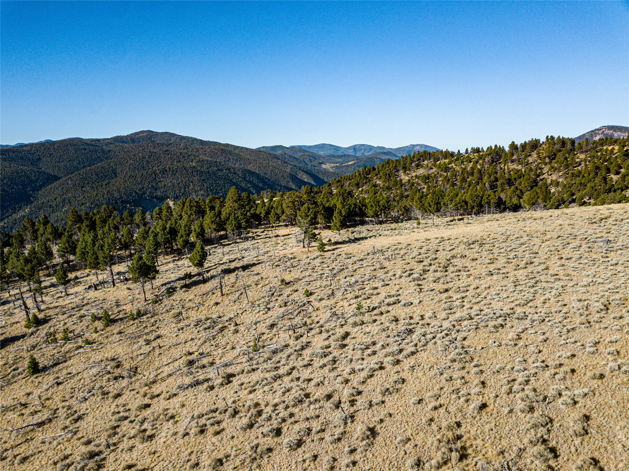 Tbd (40.1 +/- Ac) High Ore Road Property Photo 32