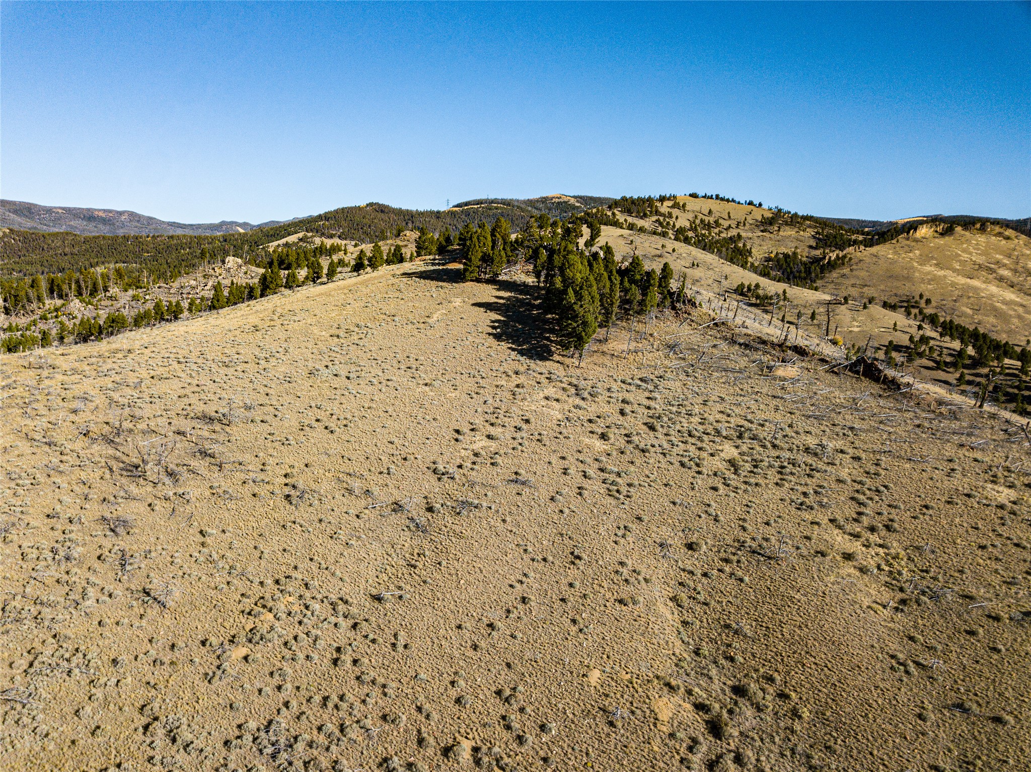 Tbd (40.1 +/- Ac) High Ore Road Property Photo 33