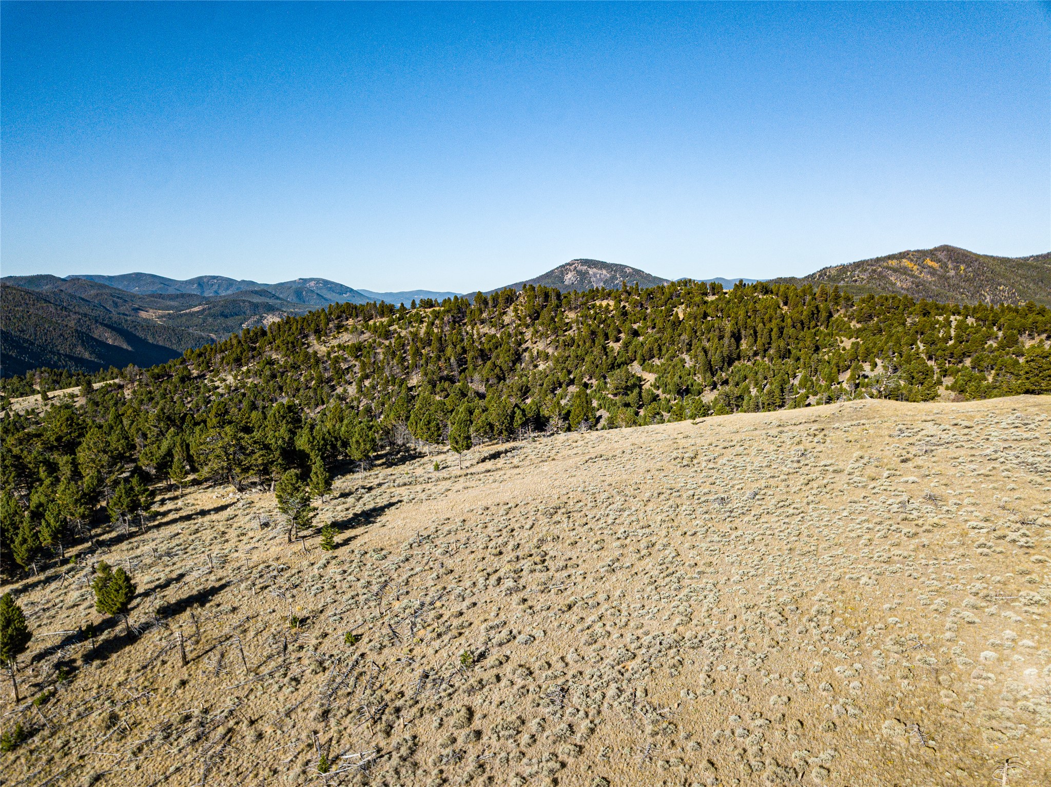Tbd (40.1 +/- Ac) High Ore Road Property Photo 34