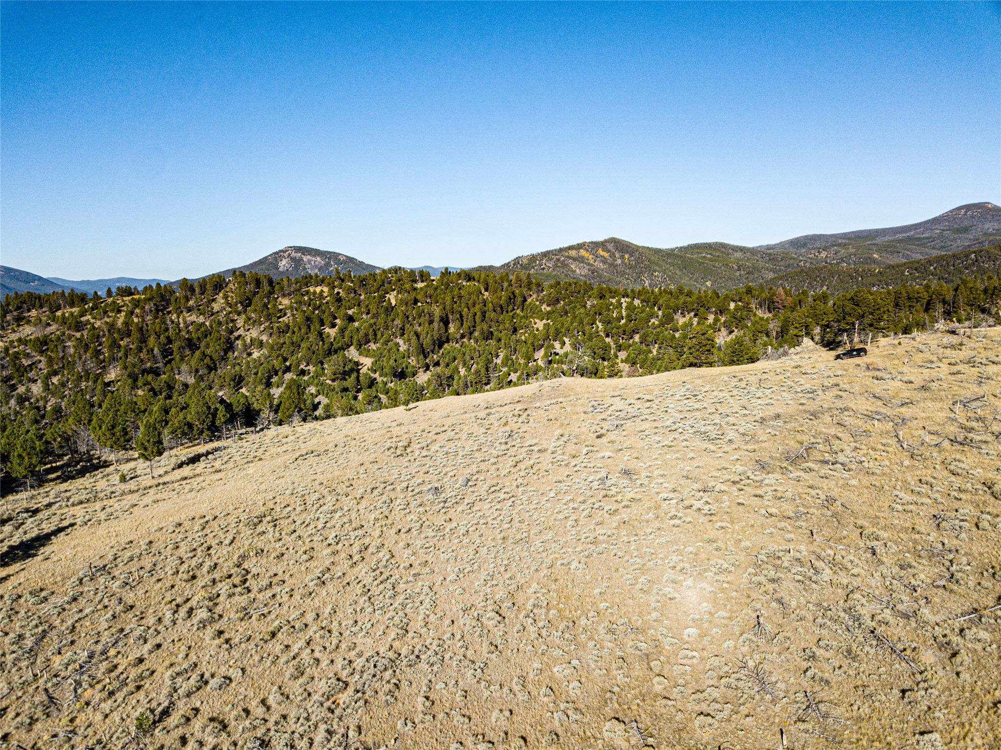 Tbd (40.1 +/- Ac) High Ore Road Property Photo 35