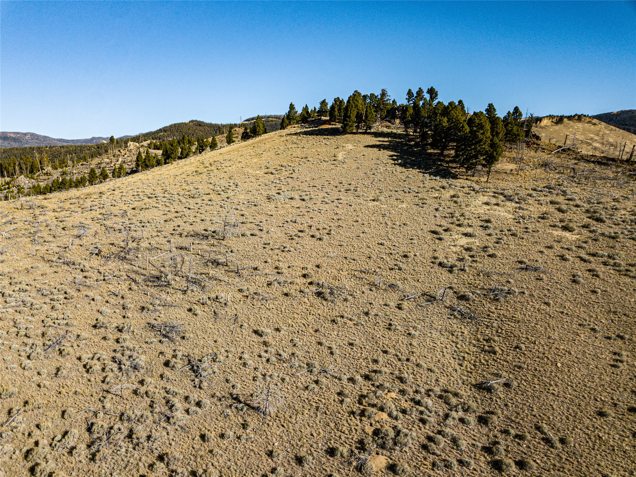 Tbd (40.1 +/- Ac) High Ore Road Property Photo 36