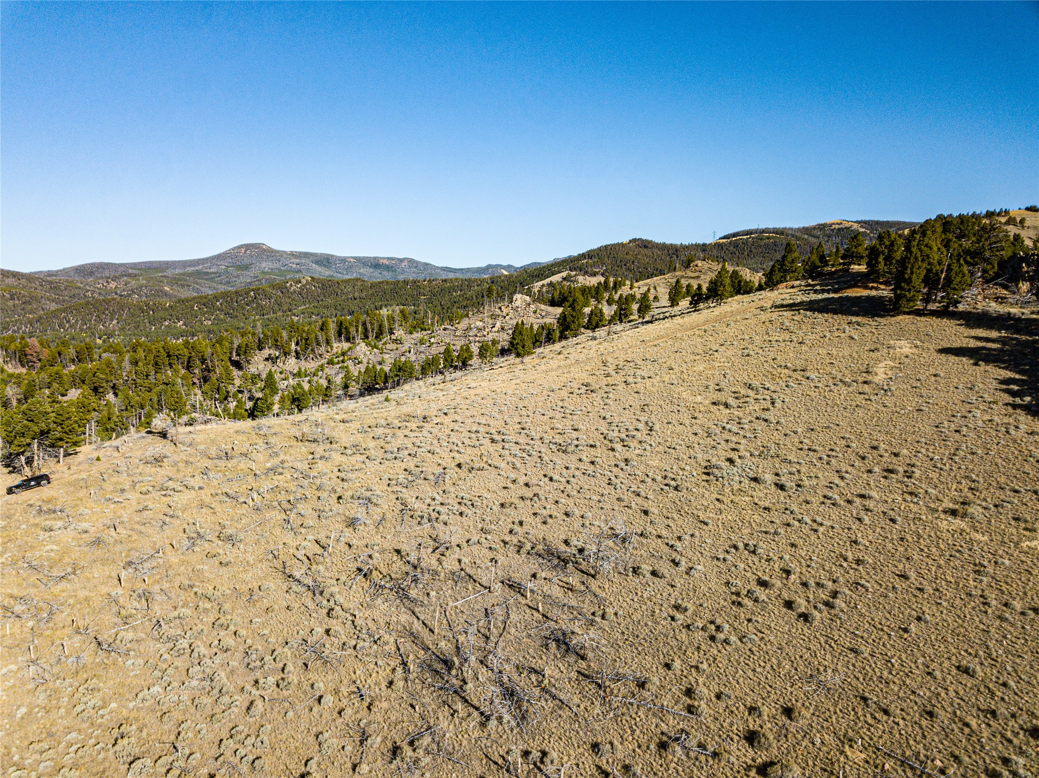 Tbd (40.1 +/- Ac) High Ore Road Property Photo 37