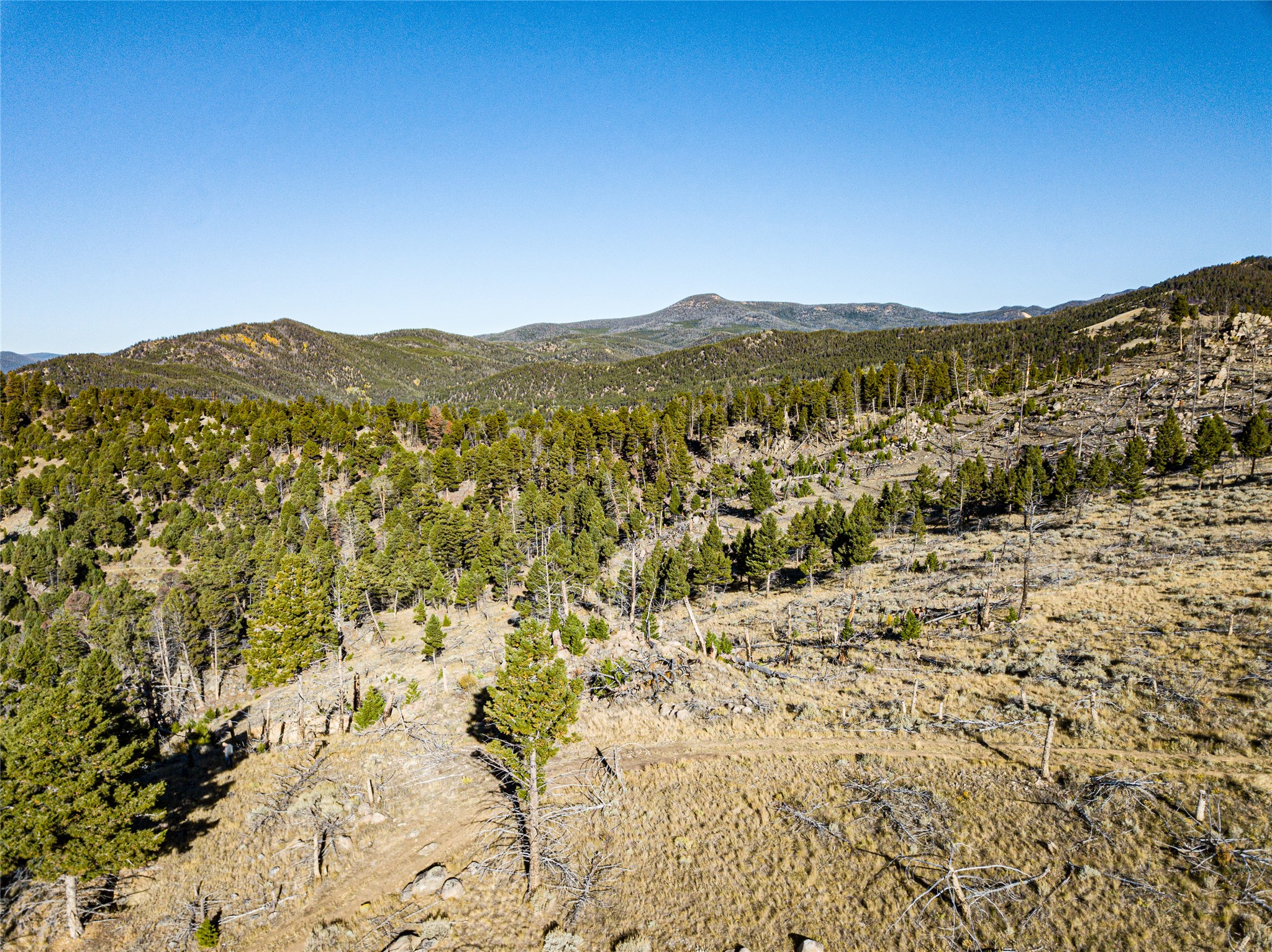 Tbd (40.1 +/- Ac) High Ore Road Property Photo 38
