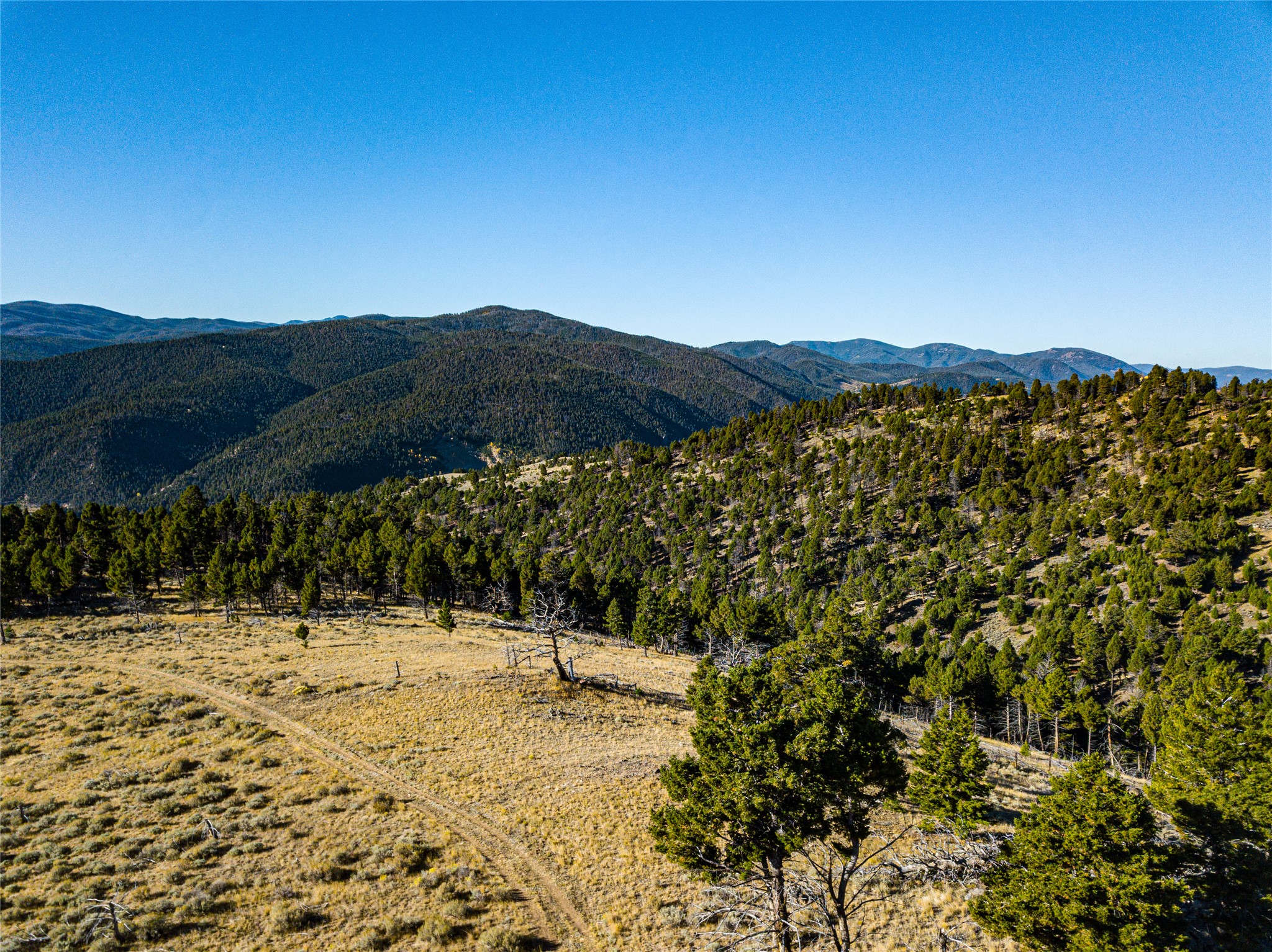 Tbd (40.1 +/- Ac) High Ore Road Property Photo 39