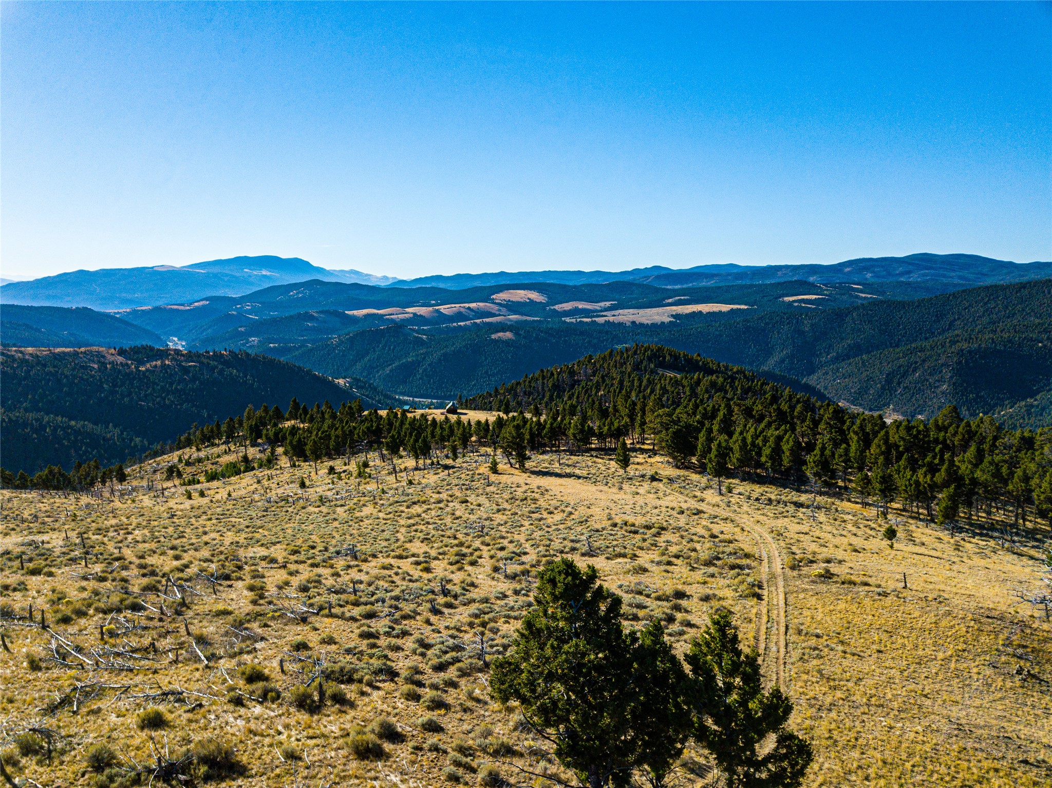Tbd (40.1 +/- Ac) High Ore Road Property Photo 41
