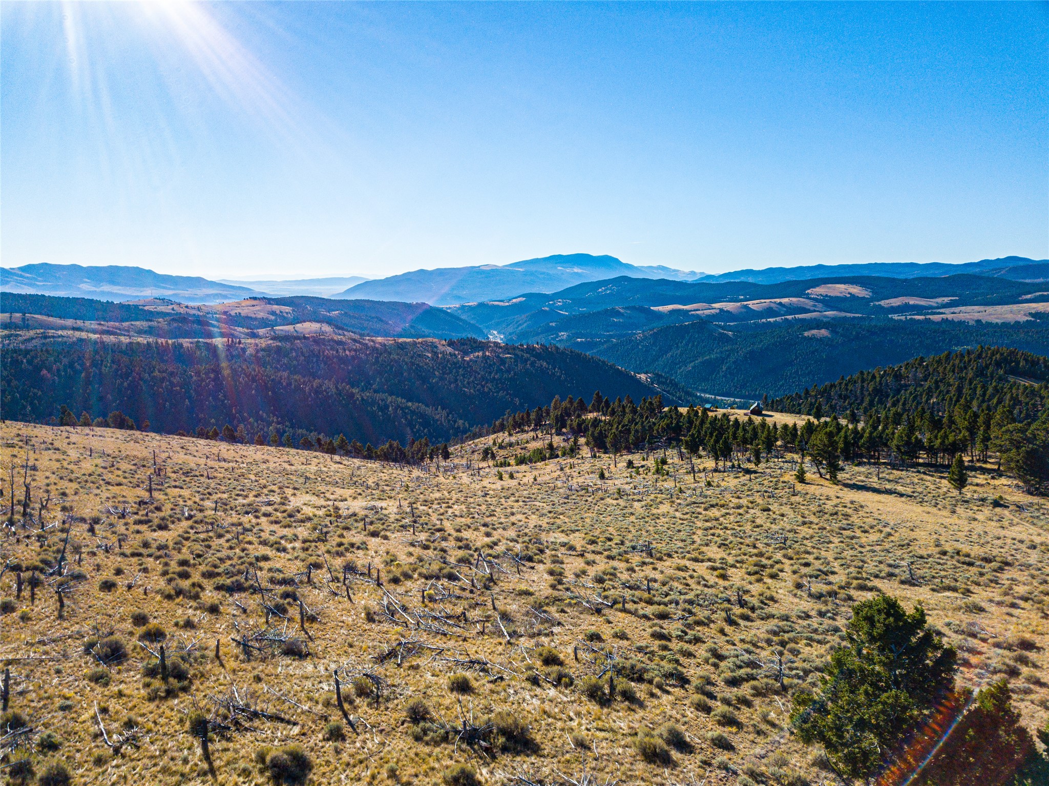 Tbd (40.1 +/- Ac) High Ore Road Property Photo 42