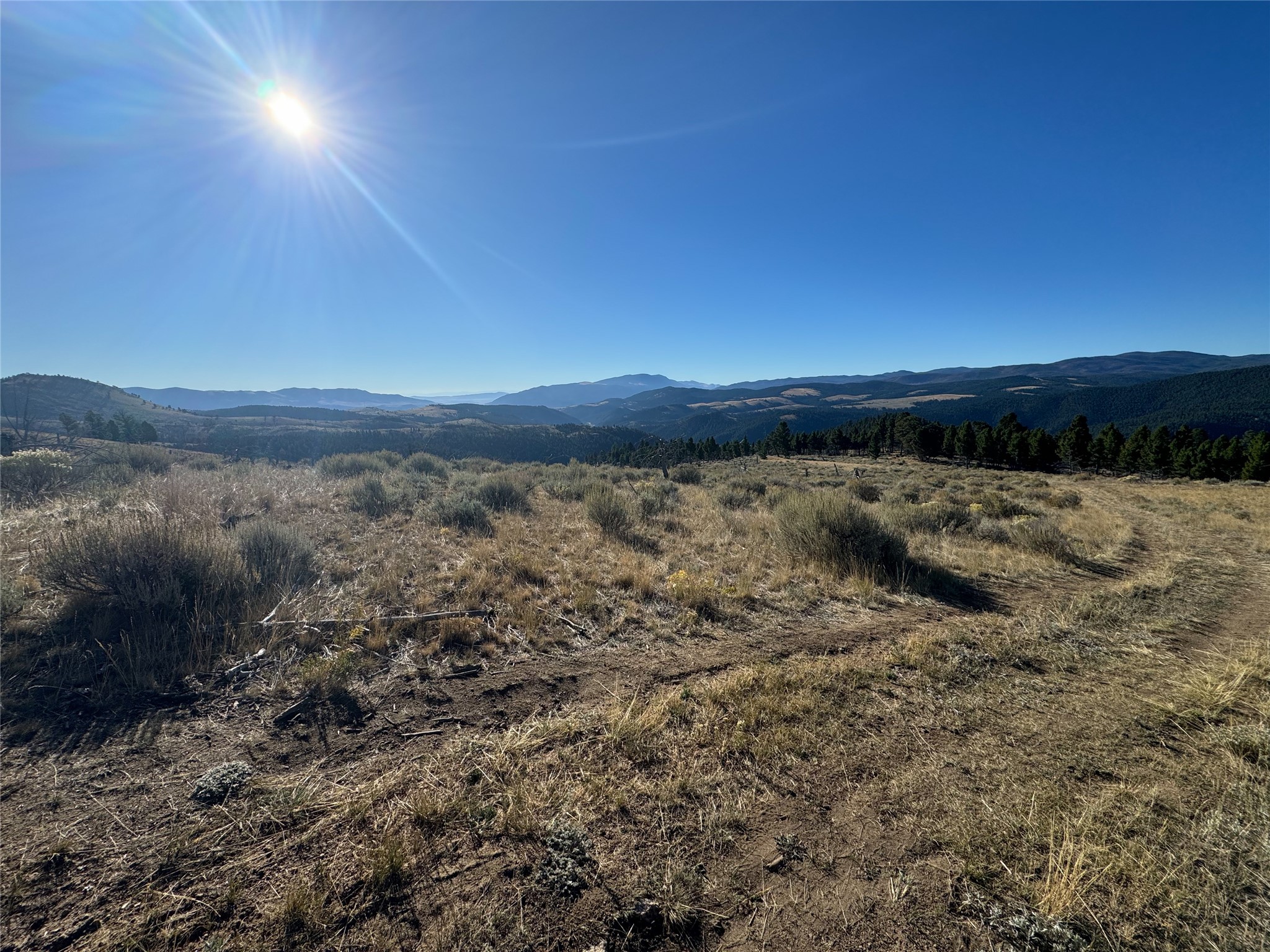 Tbd (40.1 +/- Ac) High Ore Road Property Photo 43
