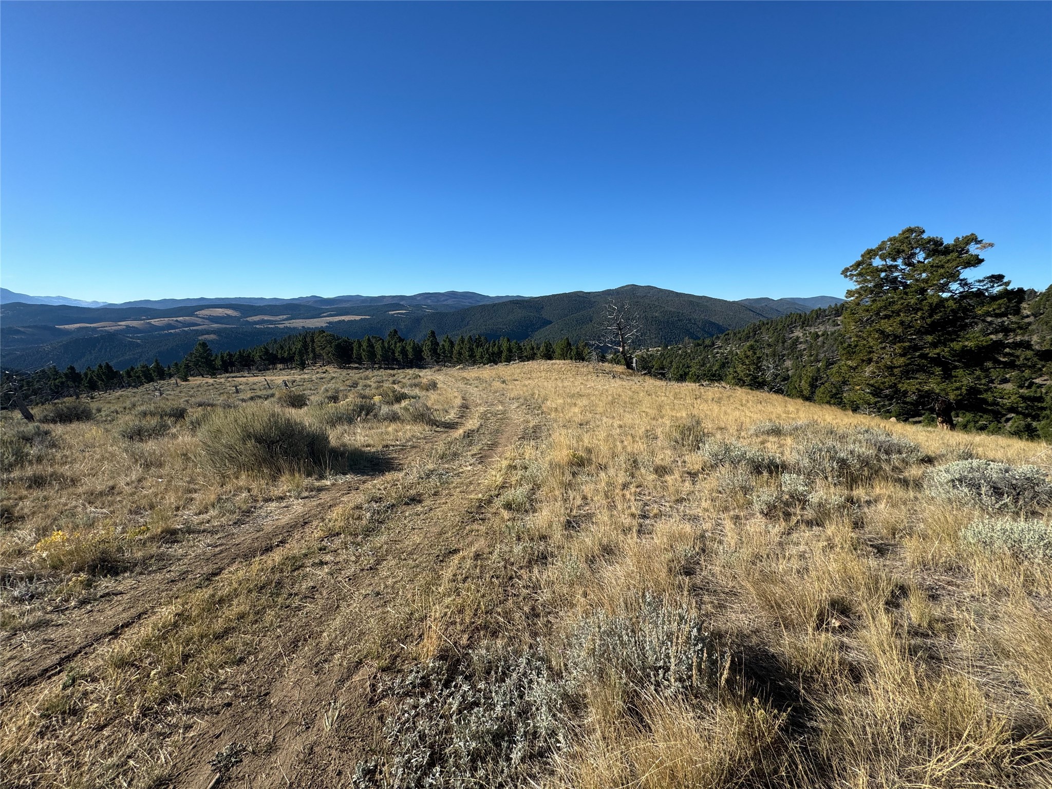 Tbd (40.1 +/- Ac) High Ore Road Property Photo 44