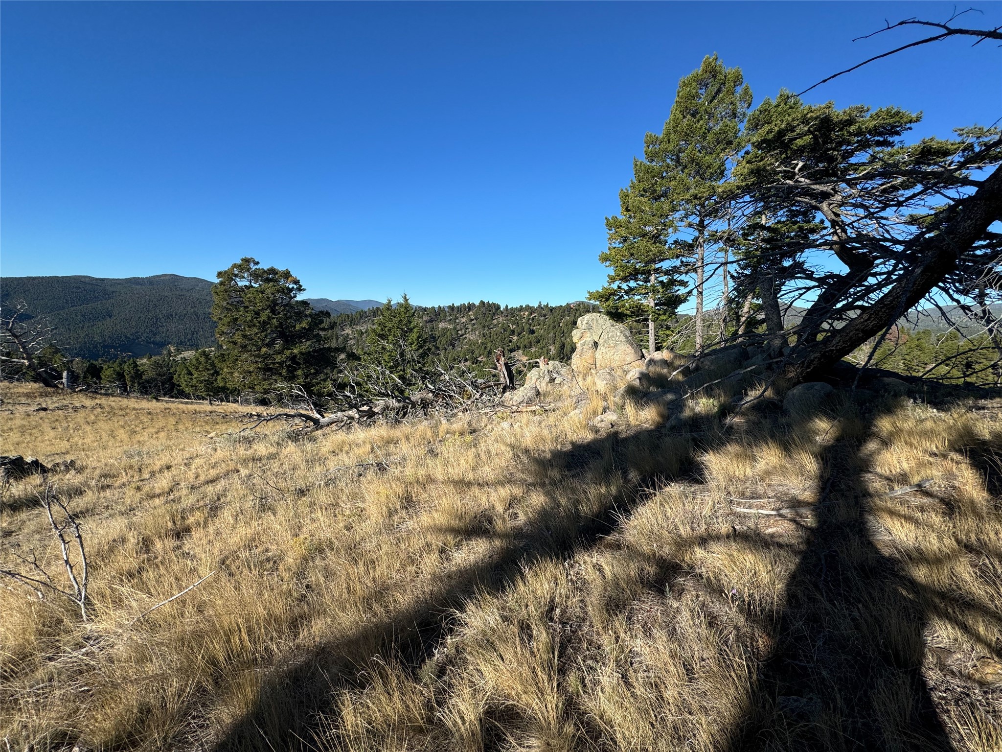 Tbd (40.1 +/- Ac) High Ore Road Property Photo 45