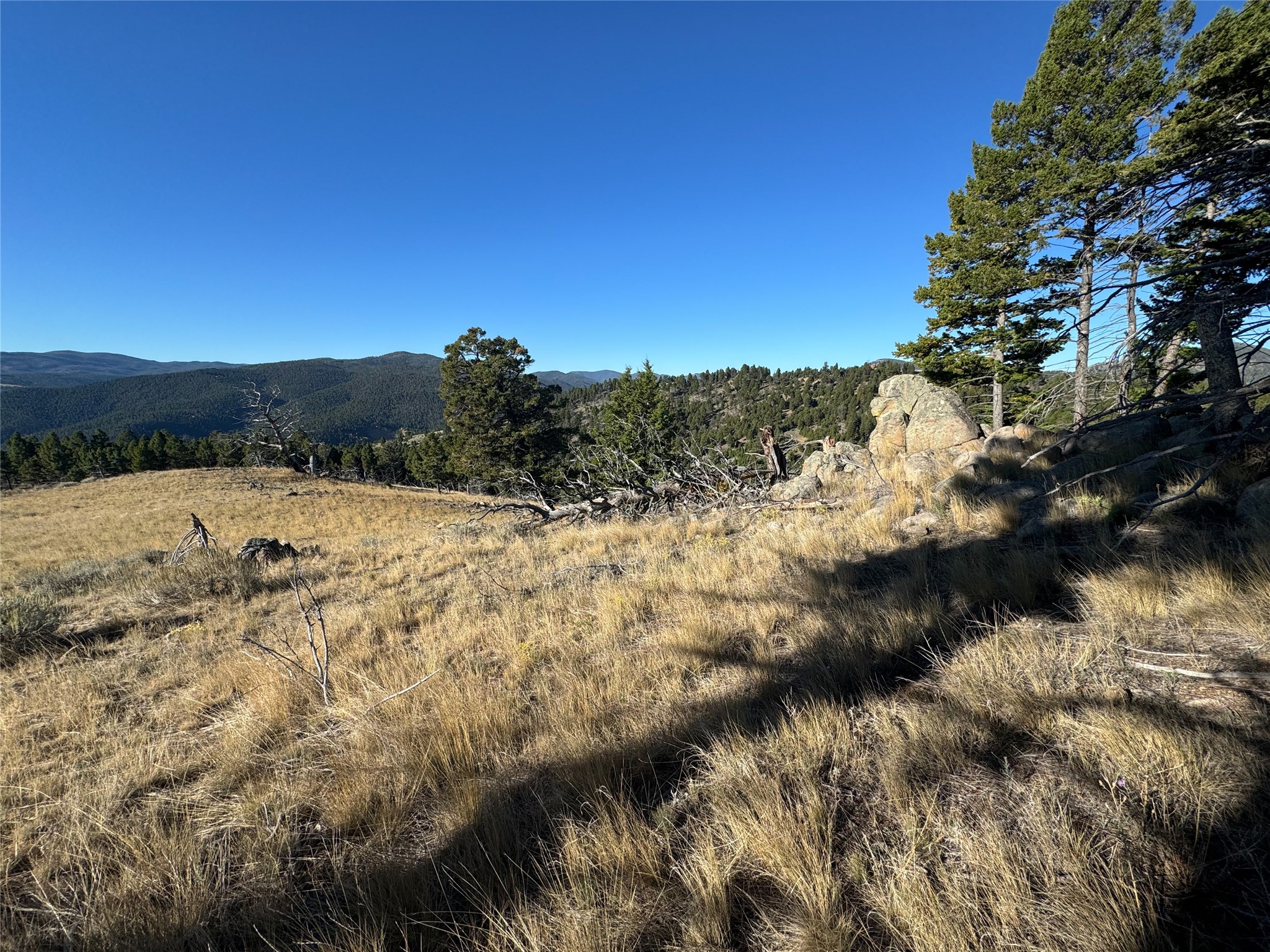 Tbd (40.1 +/- Ac) High Ore Road Property Photo 46