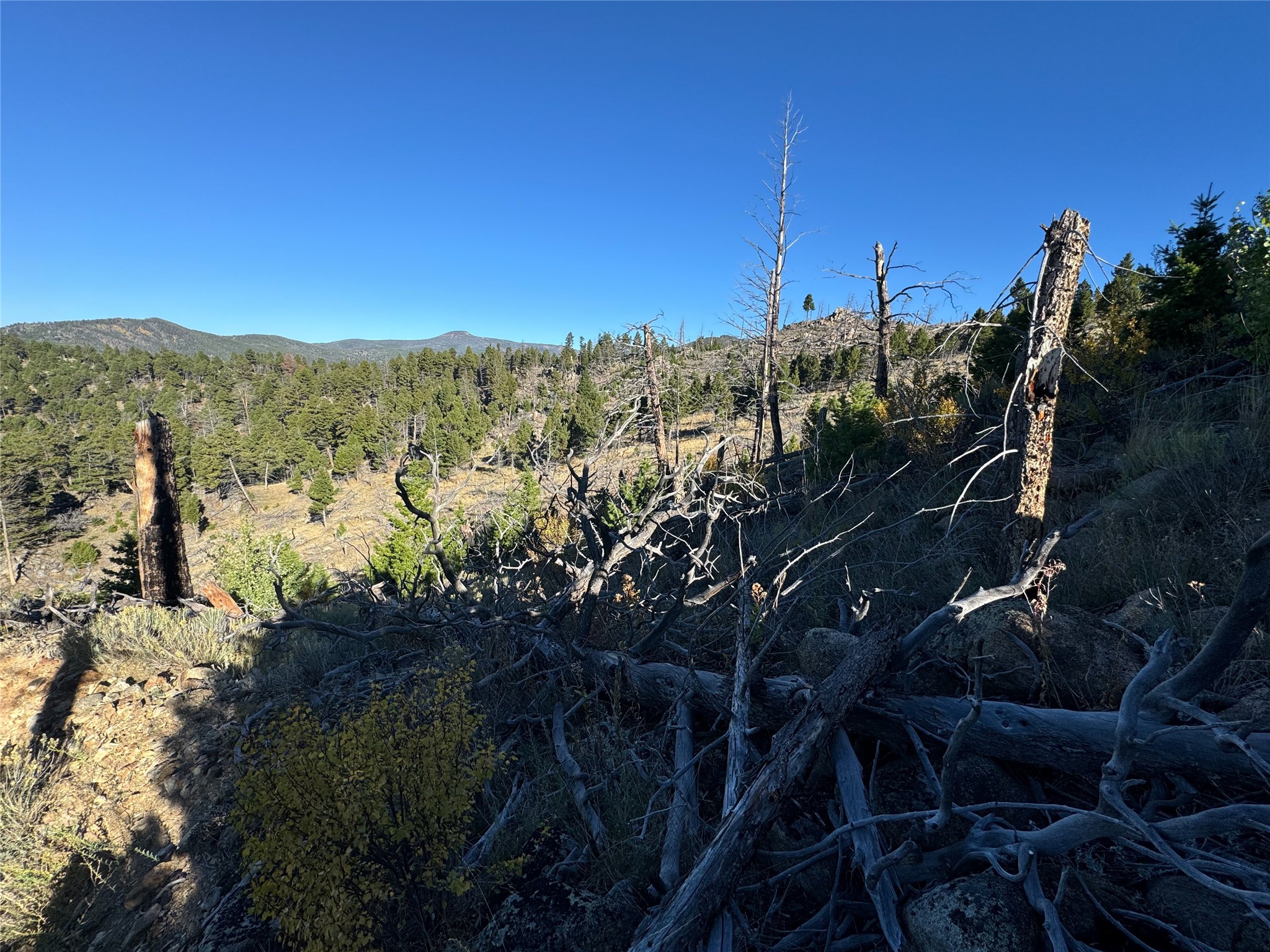 Tbd (40.1 +/- Ac) High Ore Road Property Photo 50
