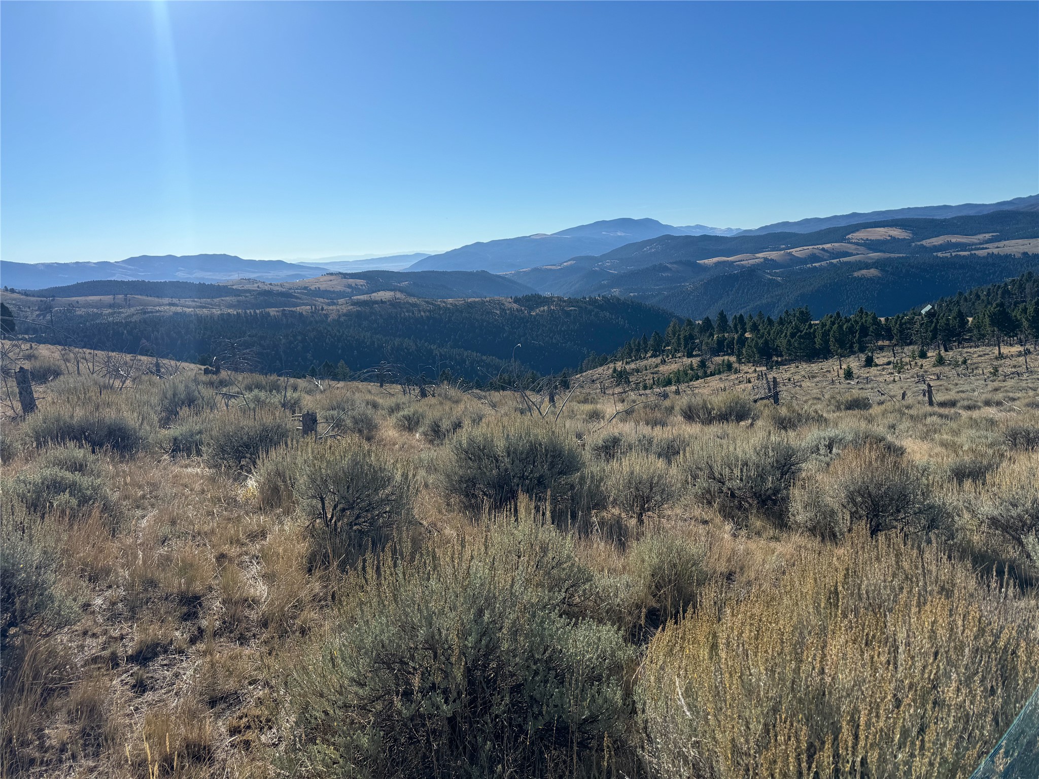 Tbd (40.1 +/- Ac) High Ore Road Property Photo 51