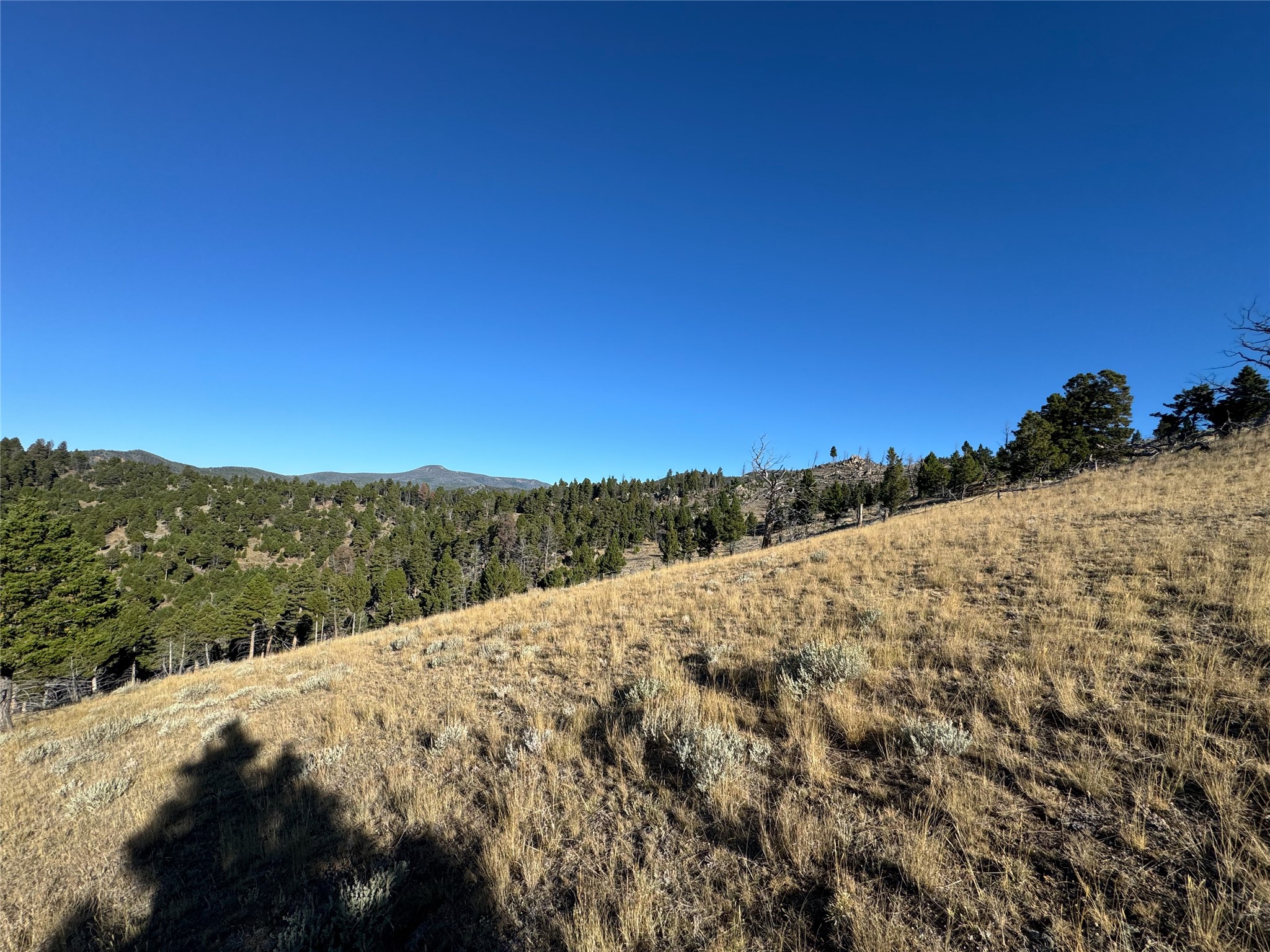 Tbd (40.1 +/- Ac) High Ore Road Property Photo 52