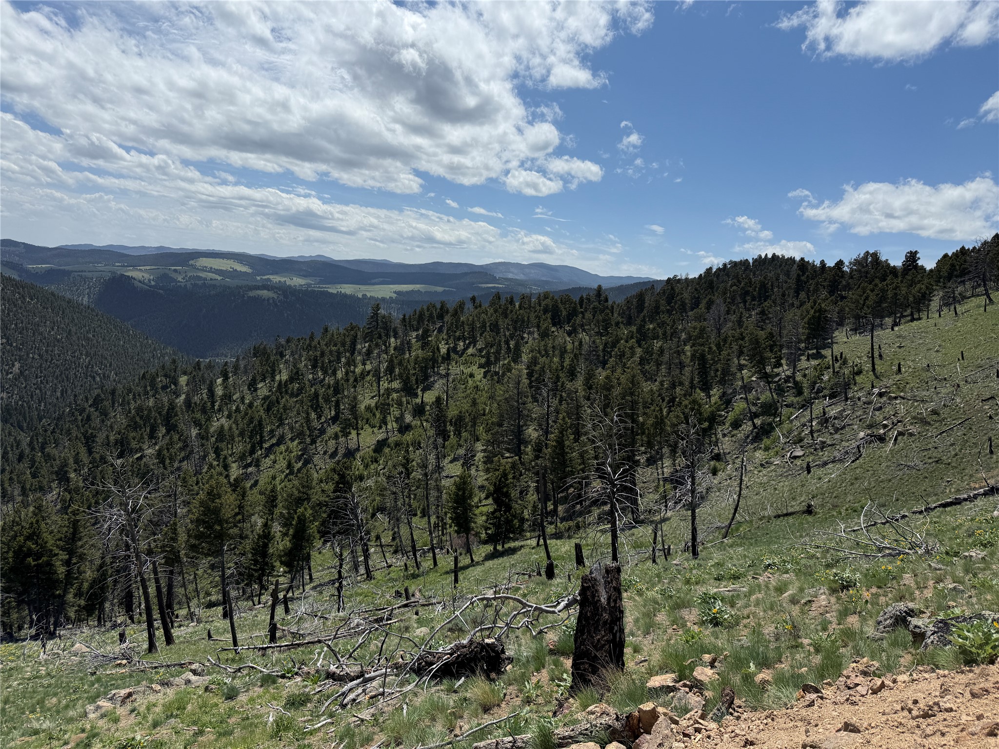 Tbd (40.1 +/- Ac) High Ore Road Property Photo 53