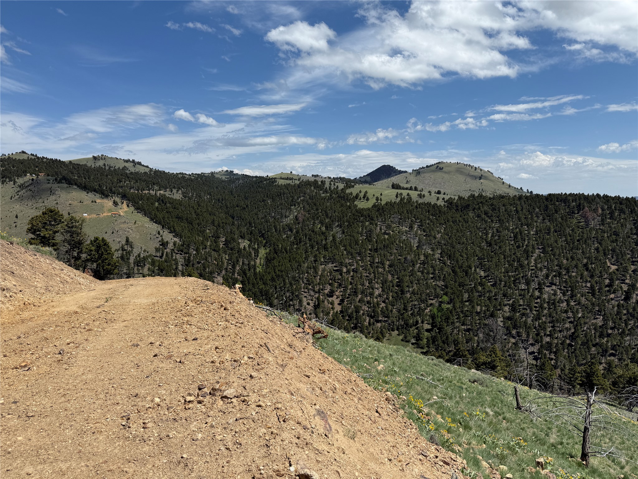 Tbd (40.1 +/- Ac) High Ore Road Property Photo 54