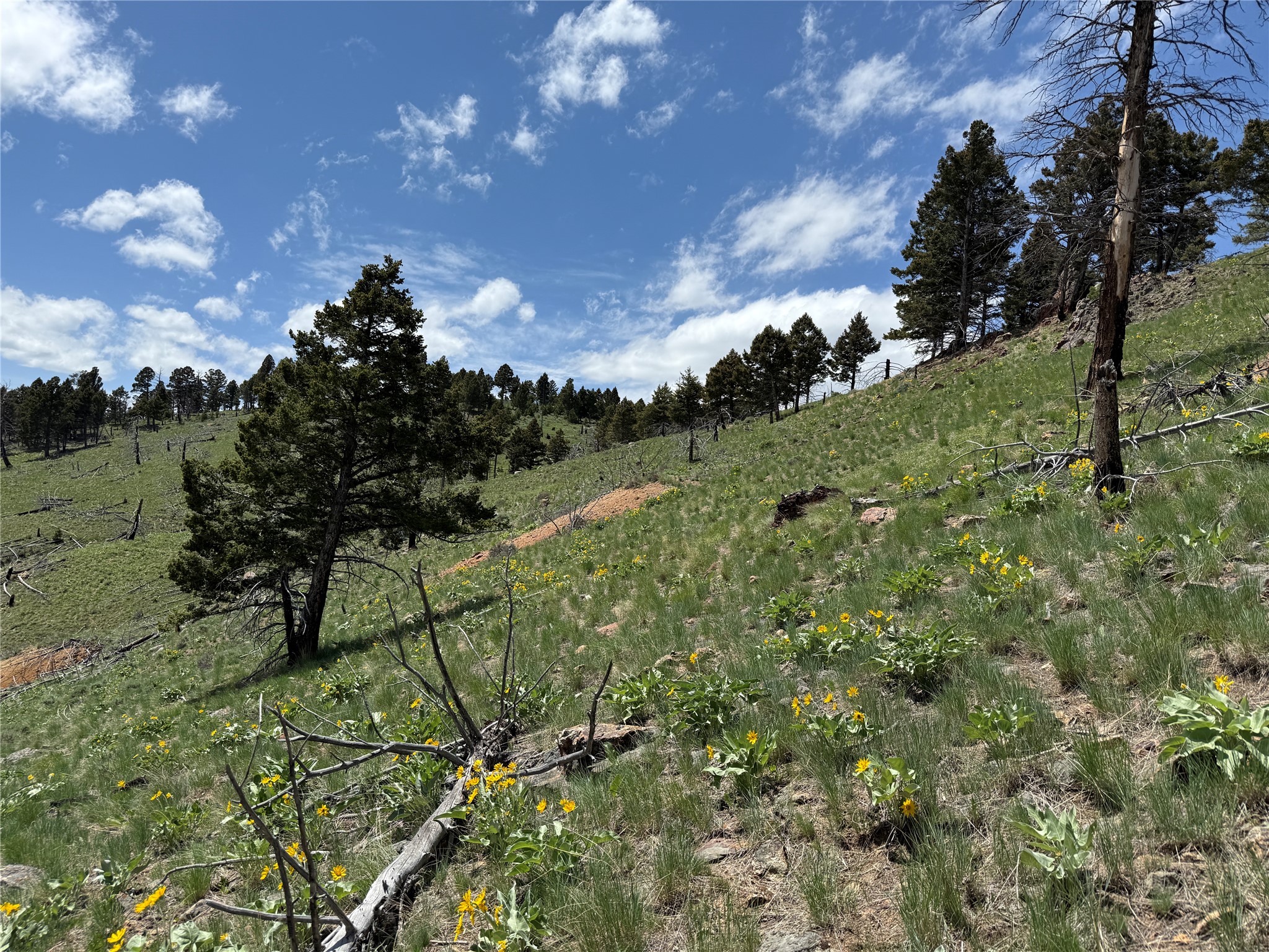 Tbd (40.1 +/- Ac) High Ore Road Property Photo 55