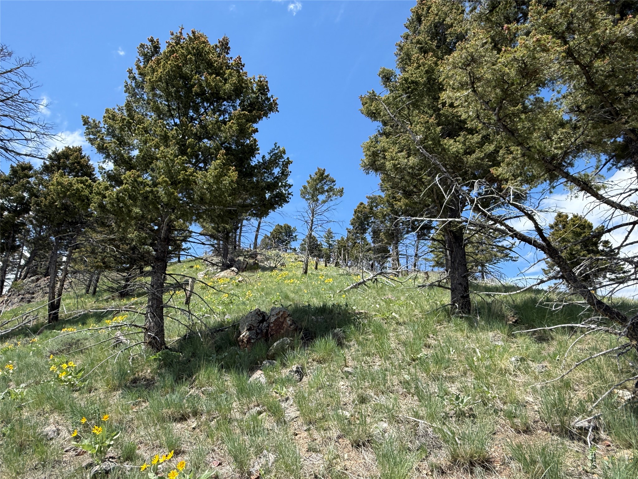 Tbd (40.1 +/- Ac) High Ore Road Property Photo 56
