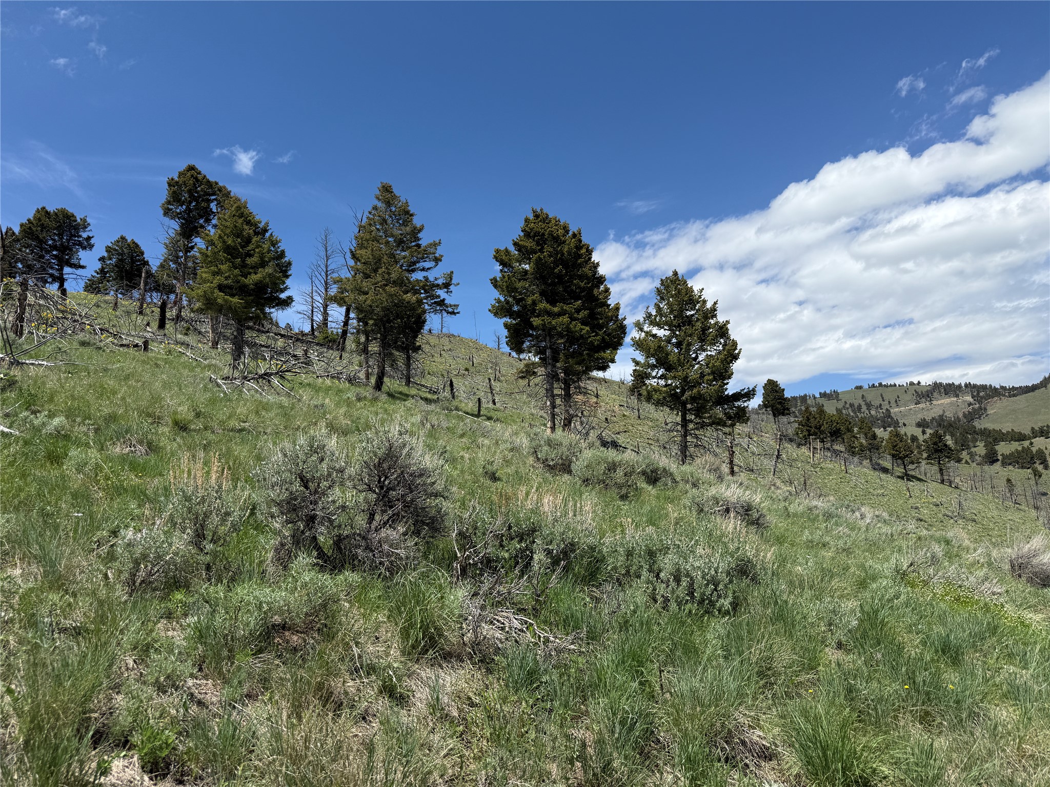 Tbd (40.1 +/- Ac) High Ore Road Property Photo 58