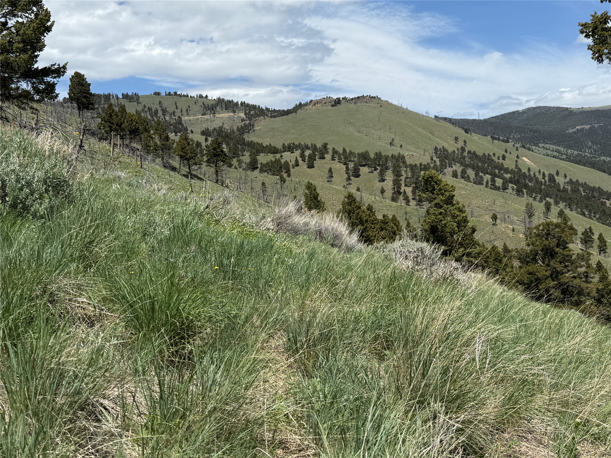 Tbd (40.1 +/- Ac) High Ore Road Property Photo 59