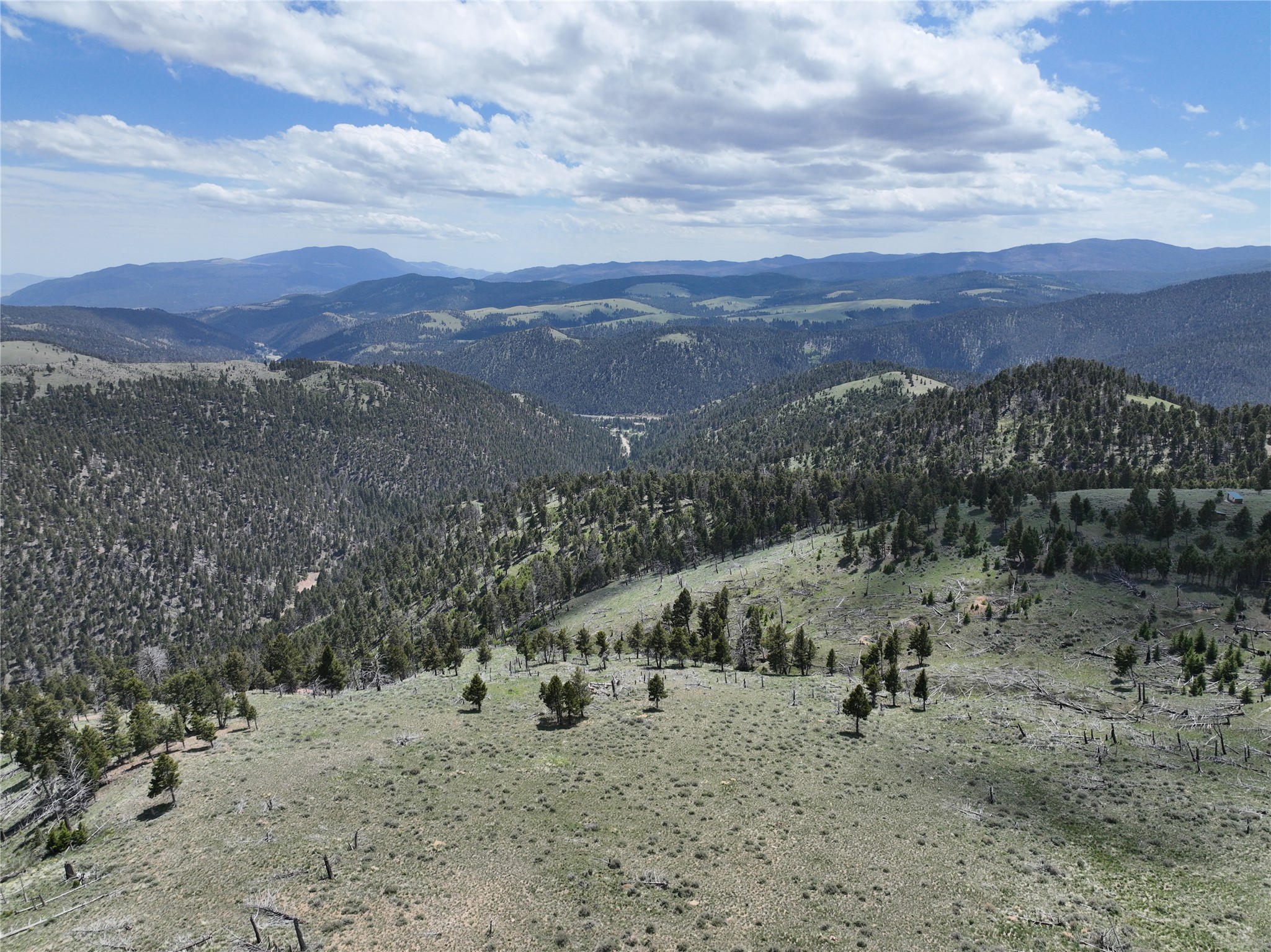 Tbd (40.1 +/- Ac) High Ore Road Property Photo 61