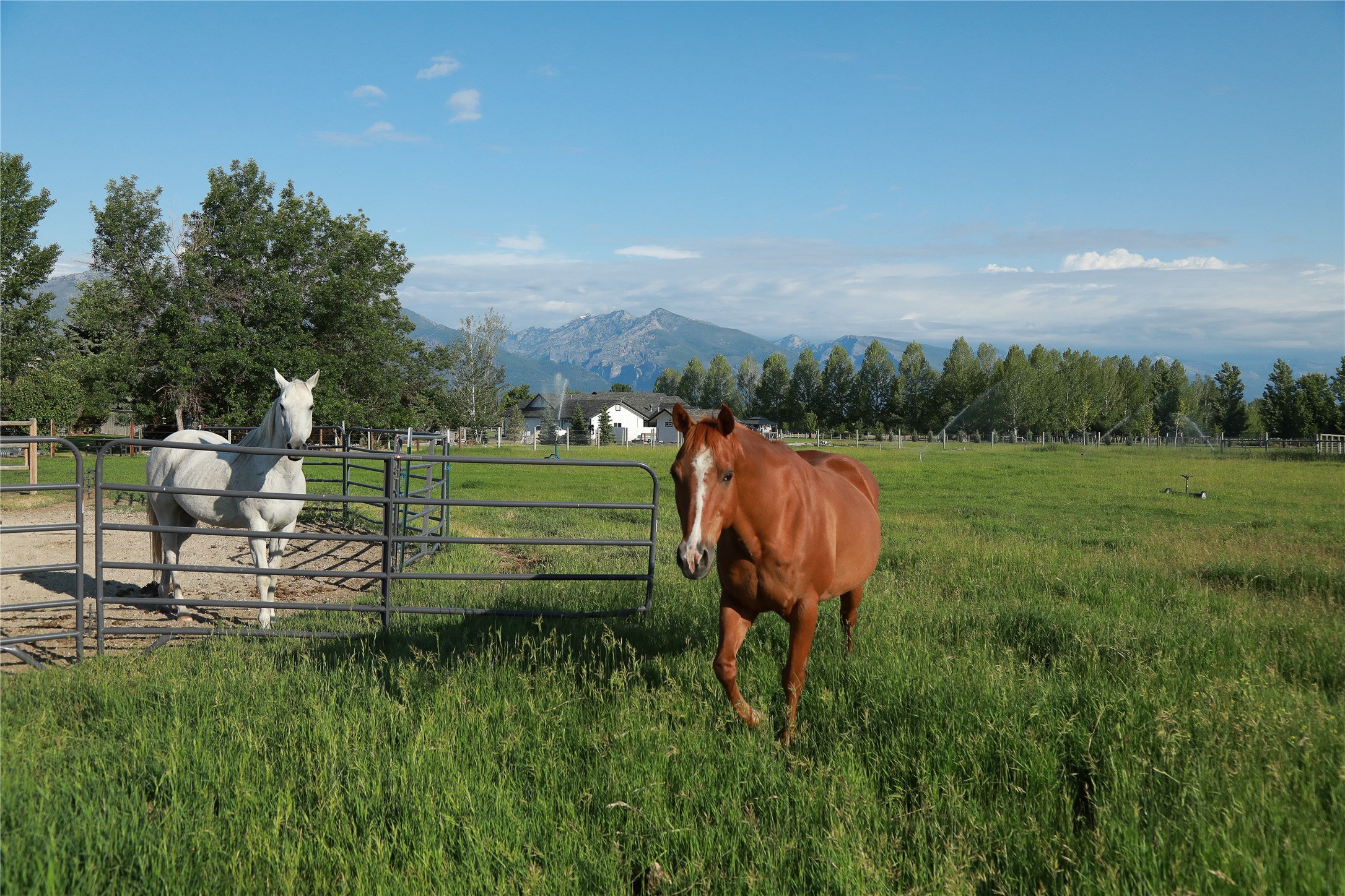 424 Saddle Ridge Road Property Photo 15