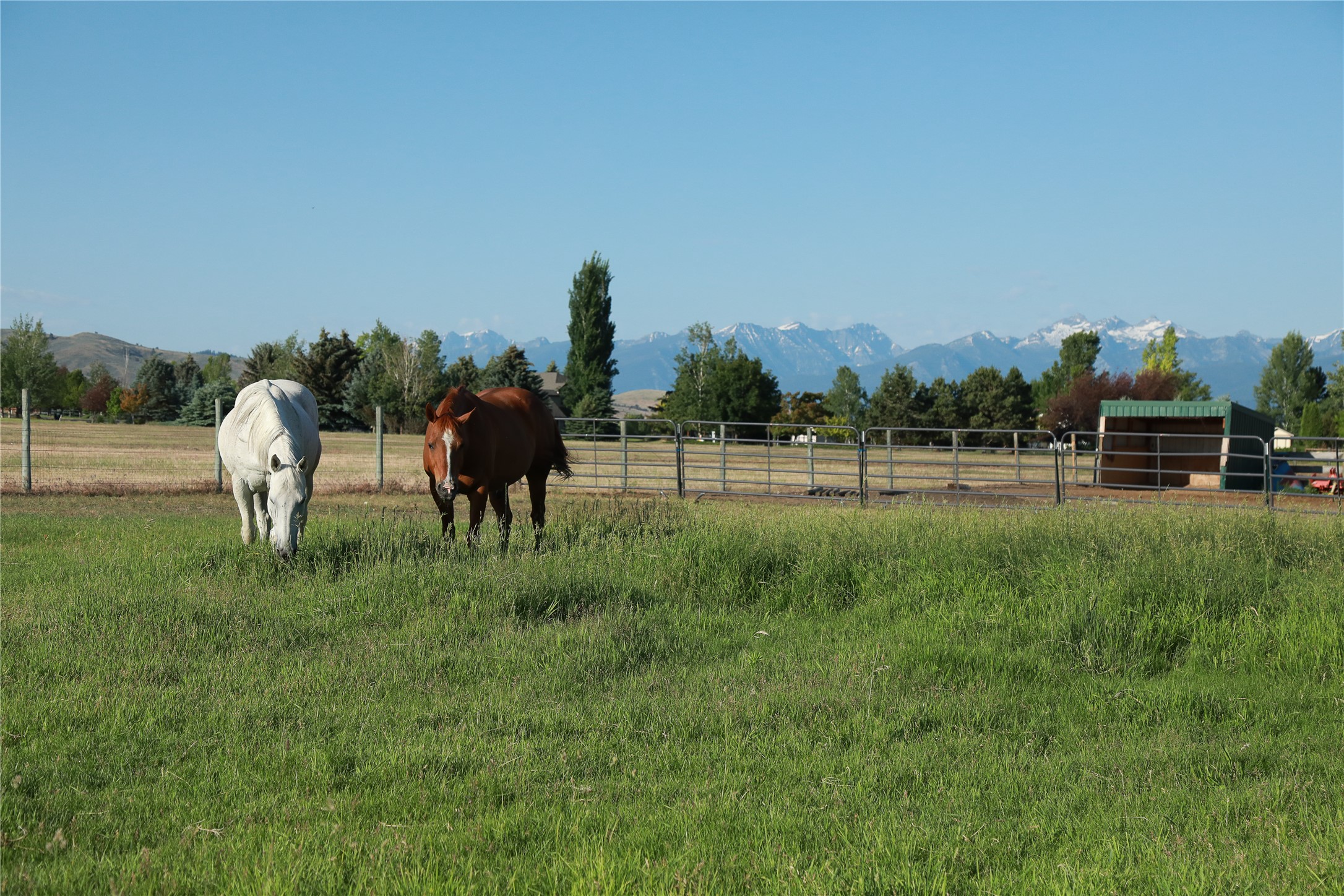 424 Saddle Ridge Road Property Photo 17