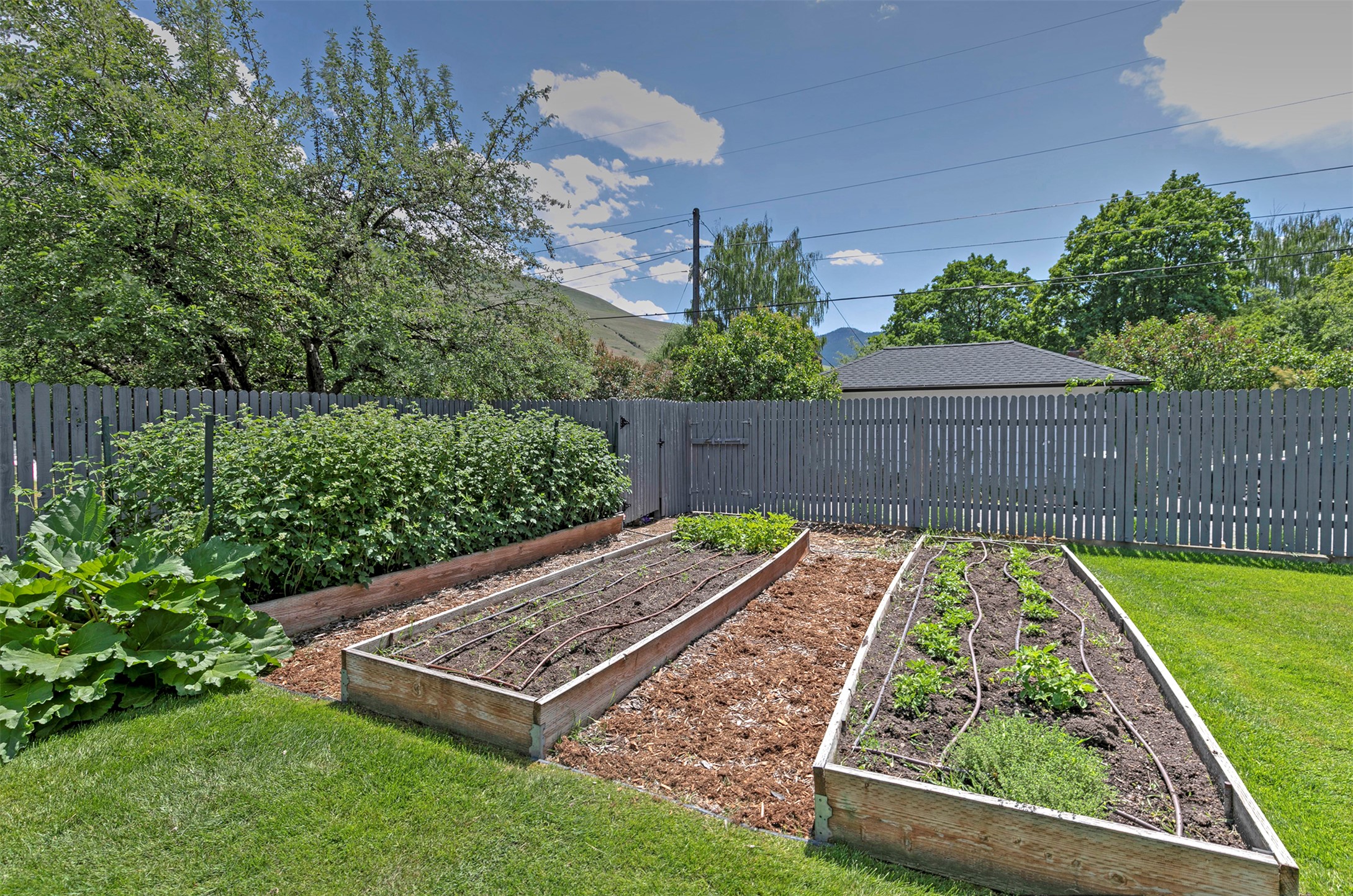 605 Evans Avenue Property Photo 45