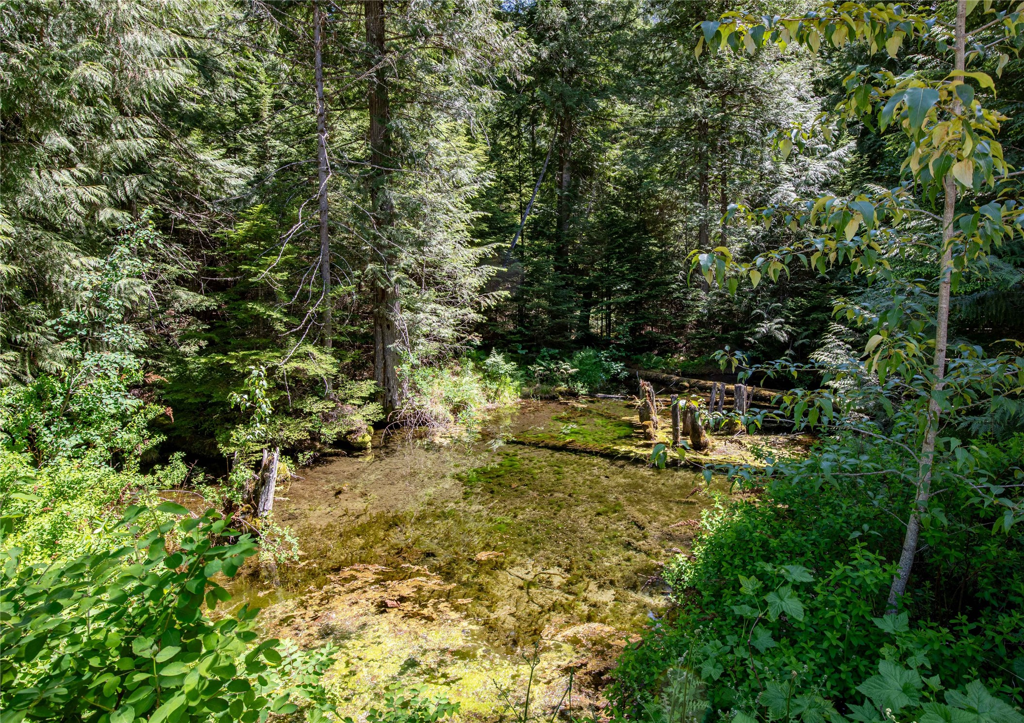 189 Blue Creek Road Property Photo 74