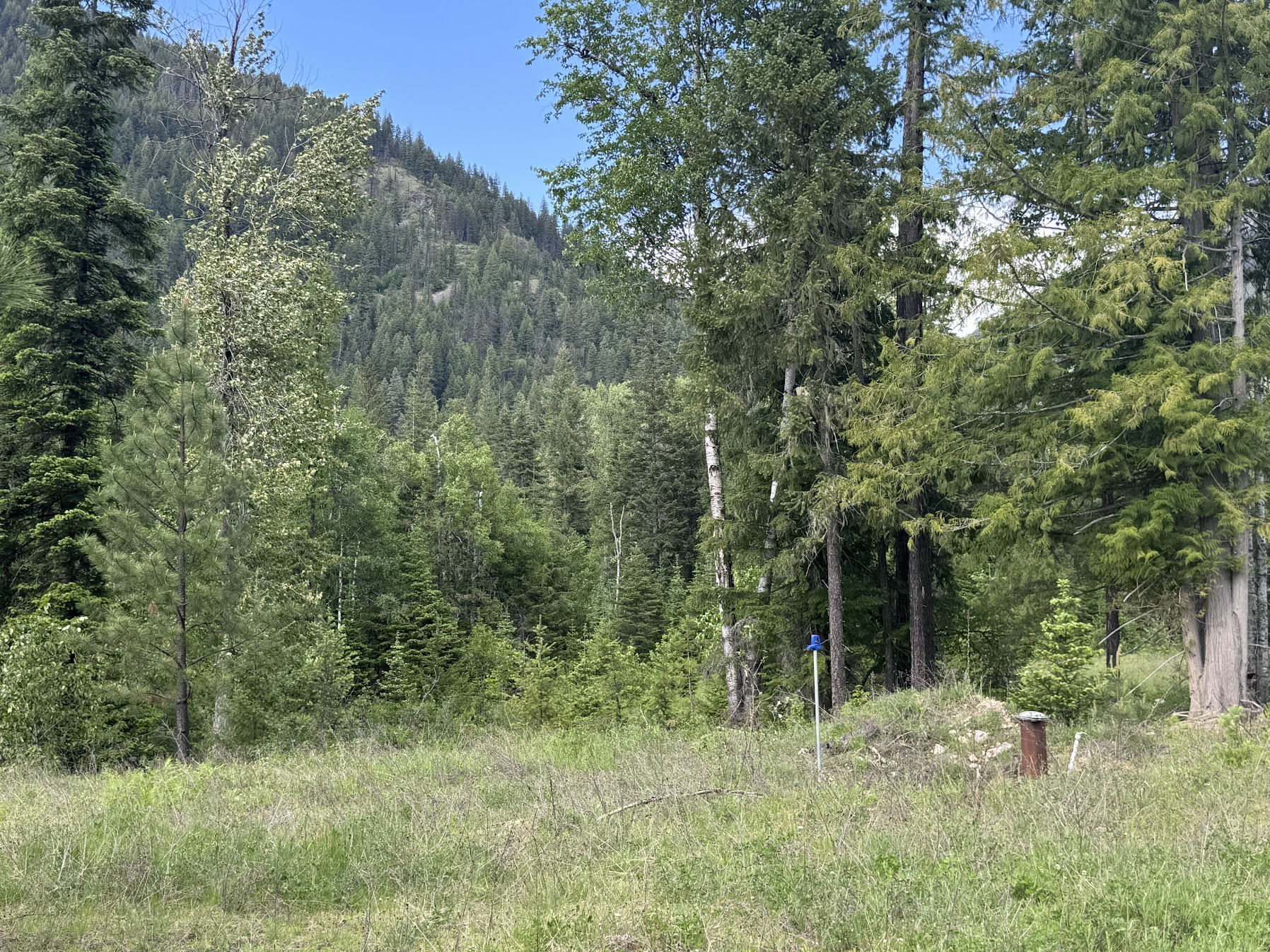 189 Blue Creek Road Property Photo 74