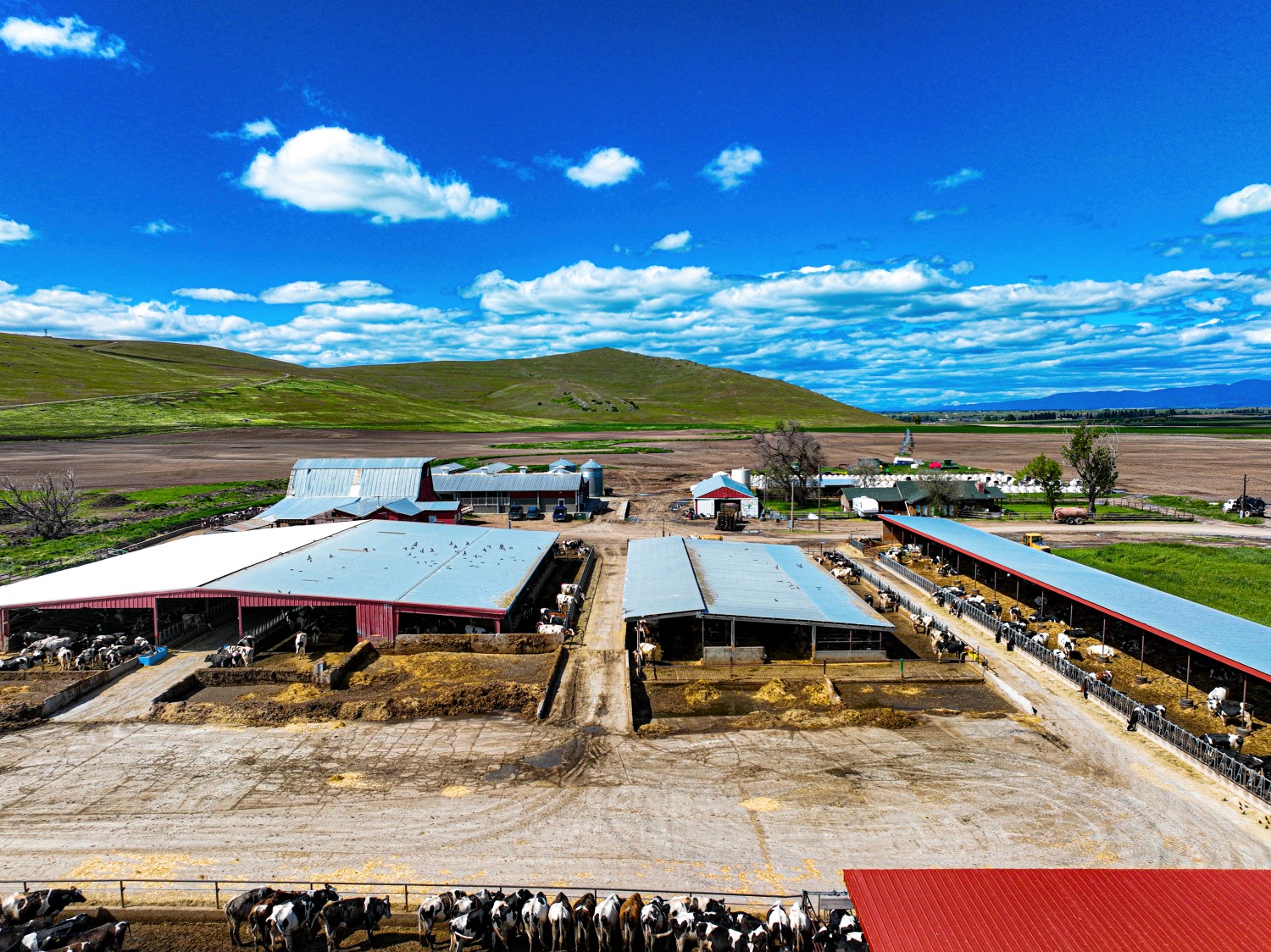 58406 Moiese Valley Road Property Photo 8