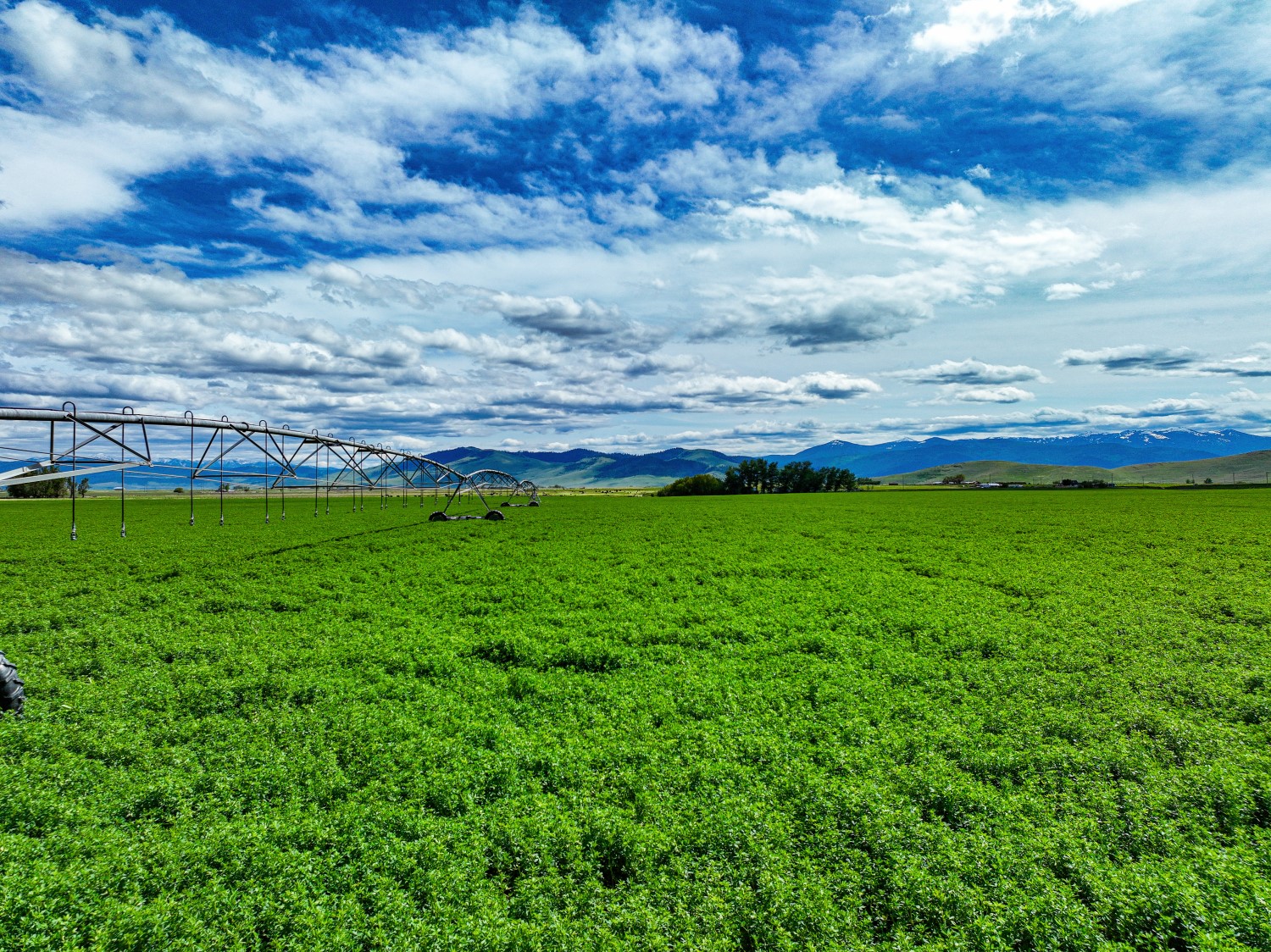 58406 Moiese Valley Road Property Photo 48