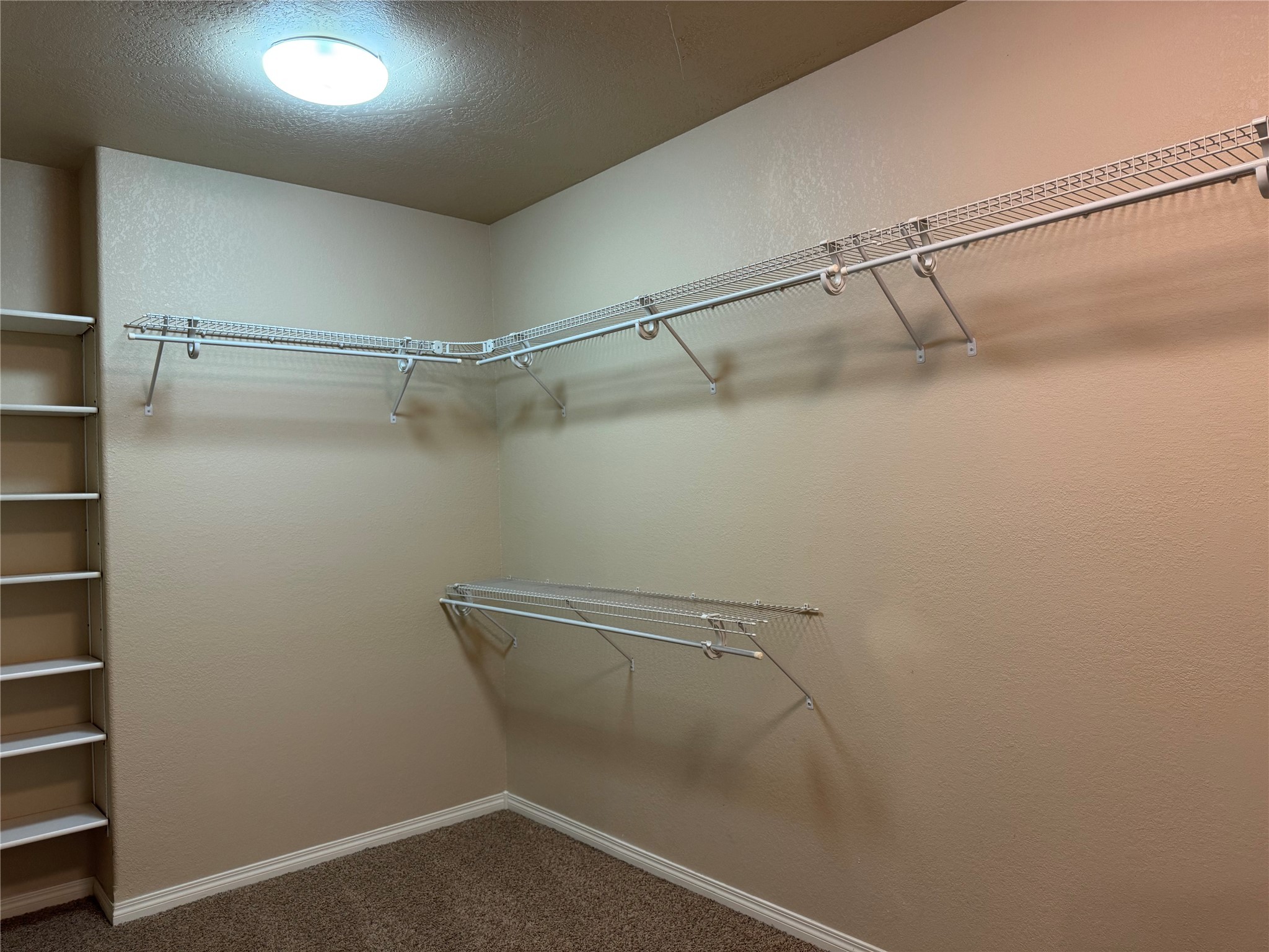 638 Trestle Creek Drive Property Photo 24