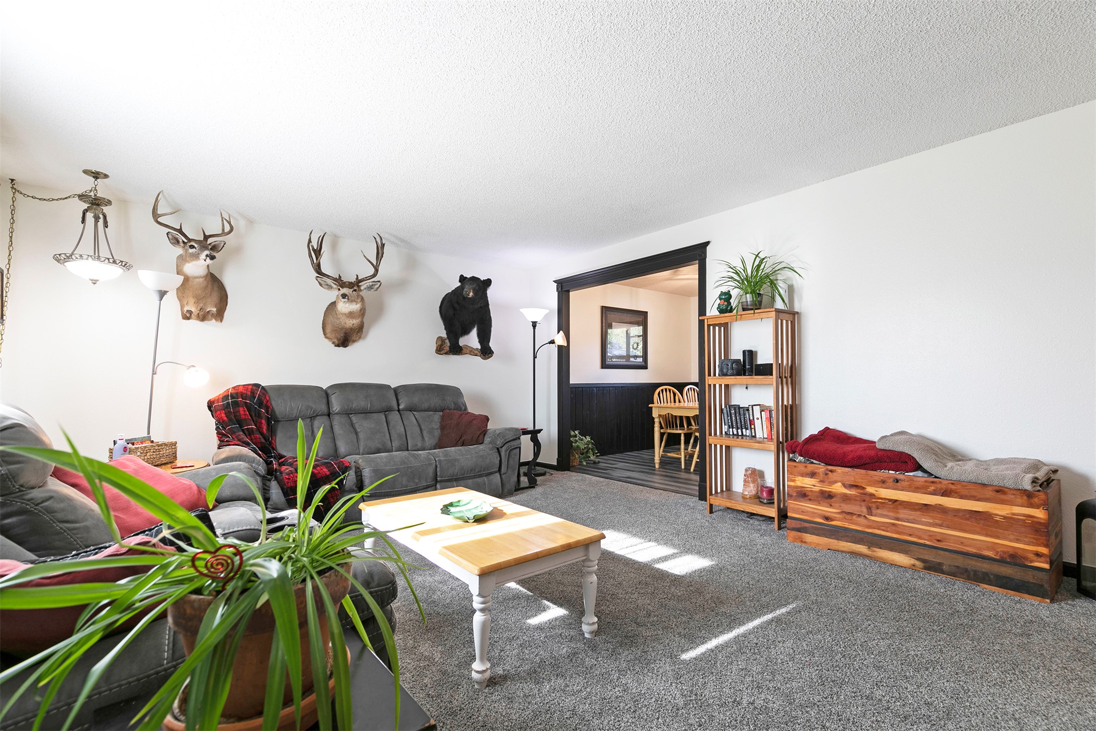 239 Essex Street Property Photo 6