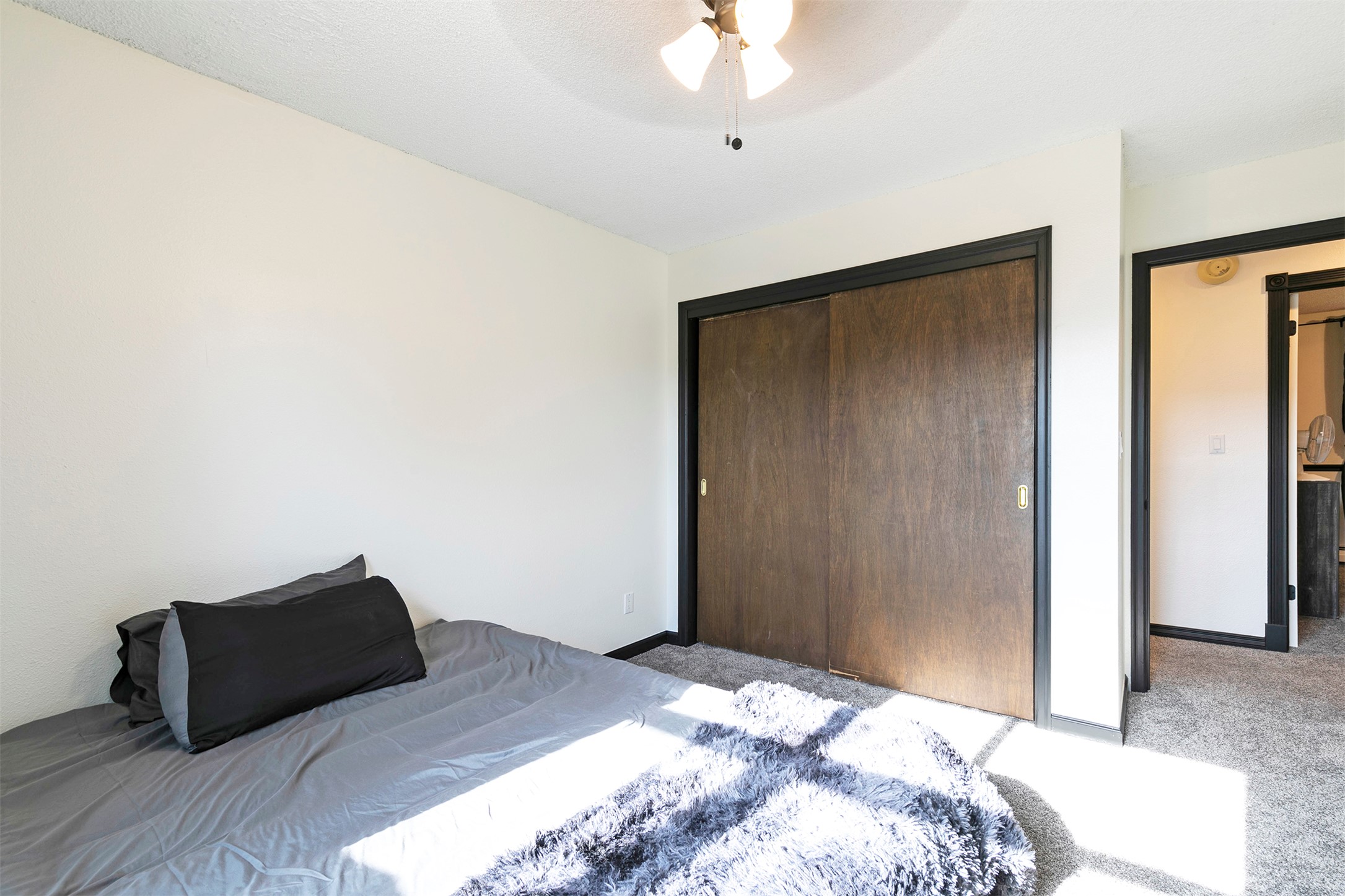 239 Essex Street Property Photo 17