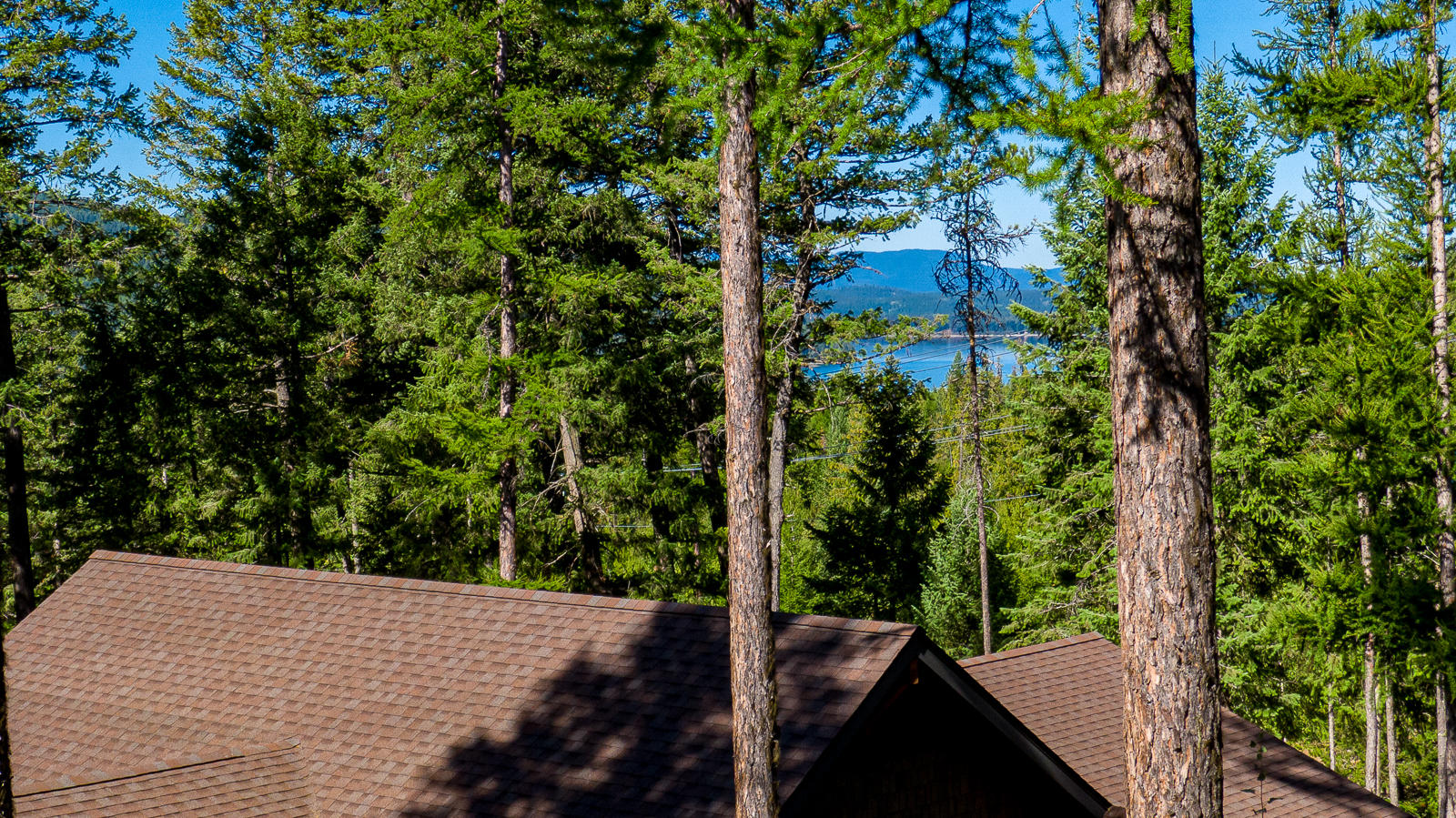 2475 E Lakeshore Drive Property Photo 76