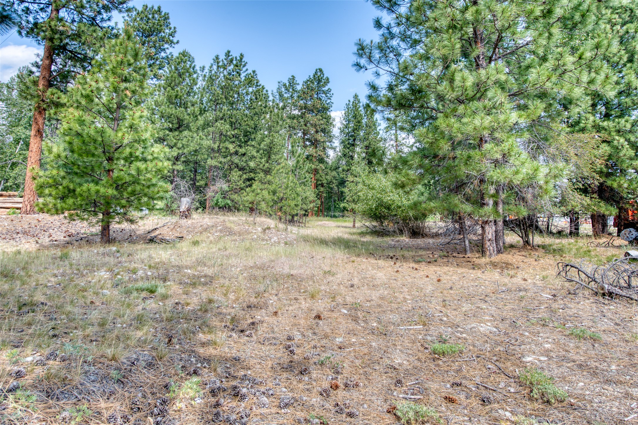 3565 Us Highway 93 S Property Photo 15