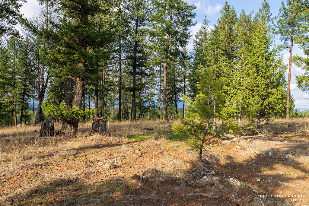 Lot 18 Lake Heights Property Photo 4
