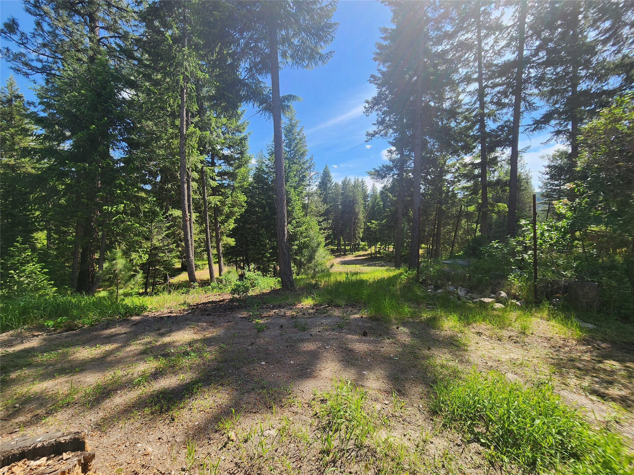 137 Amber Road Property Photo 54