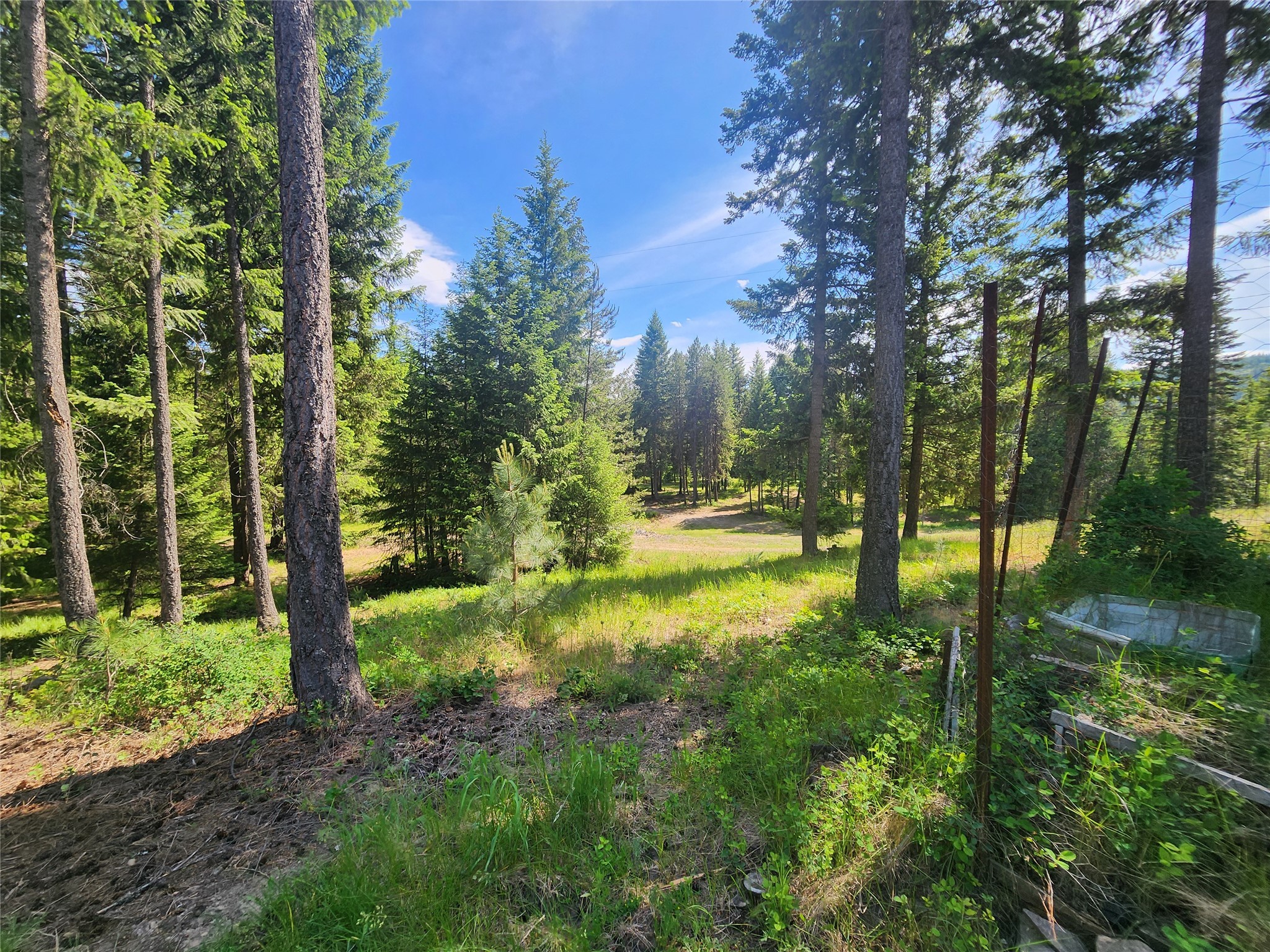 137 Amber Road Property Photo 55