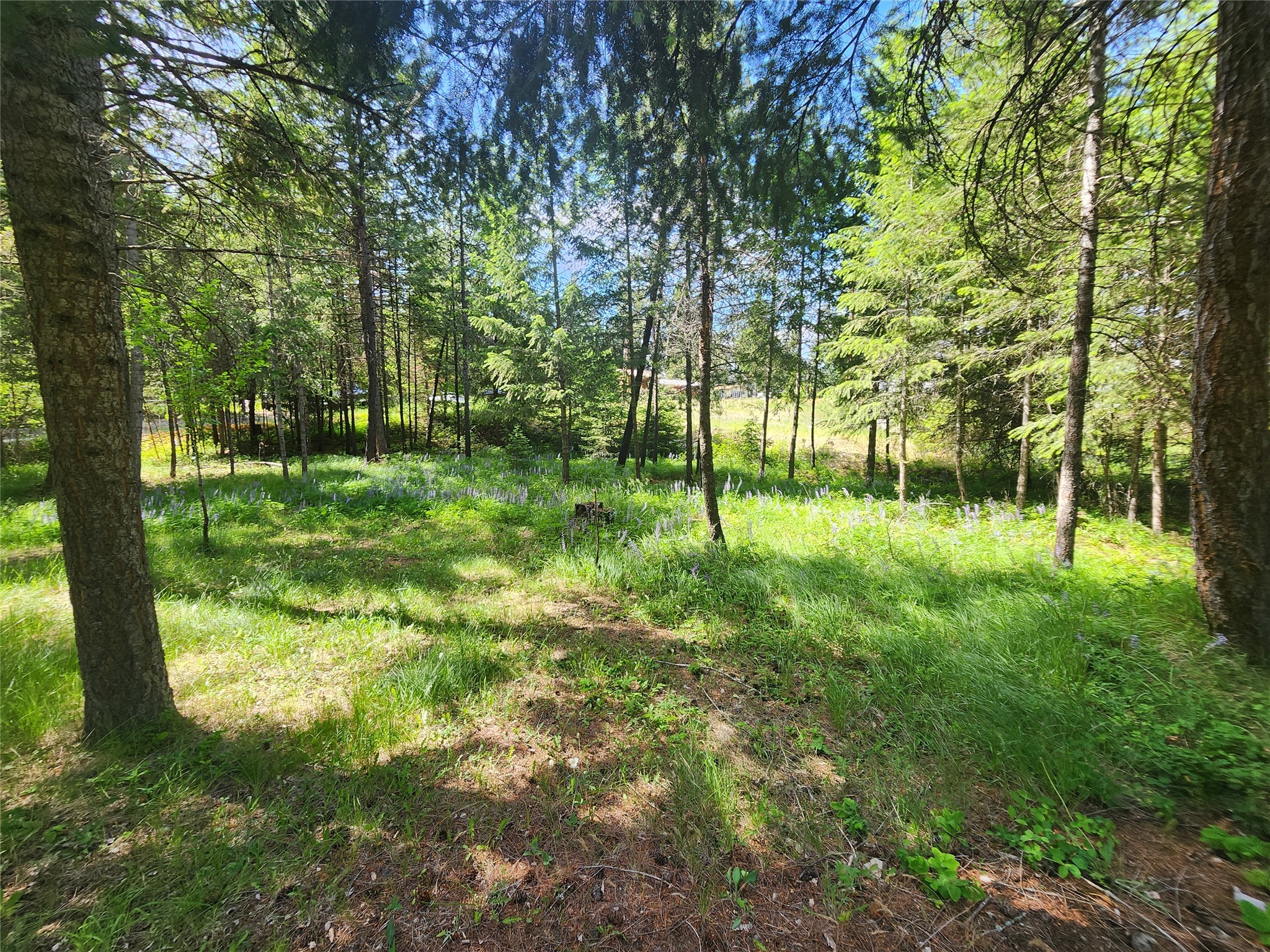 137 Amber Road Property Photo 57