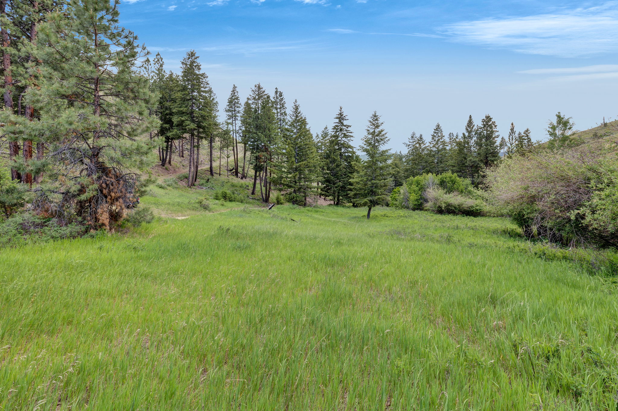 Nhn Dugout Gulch Road Property Photo 1