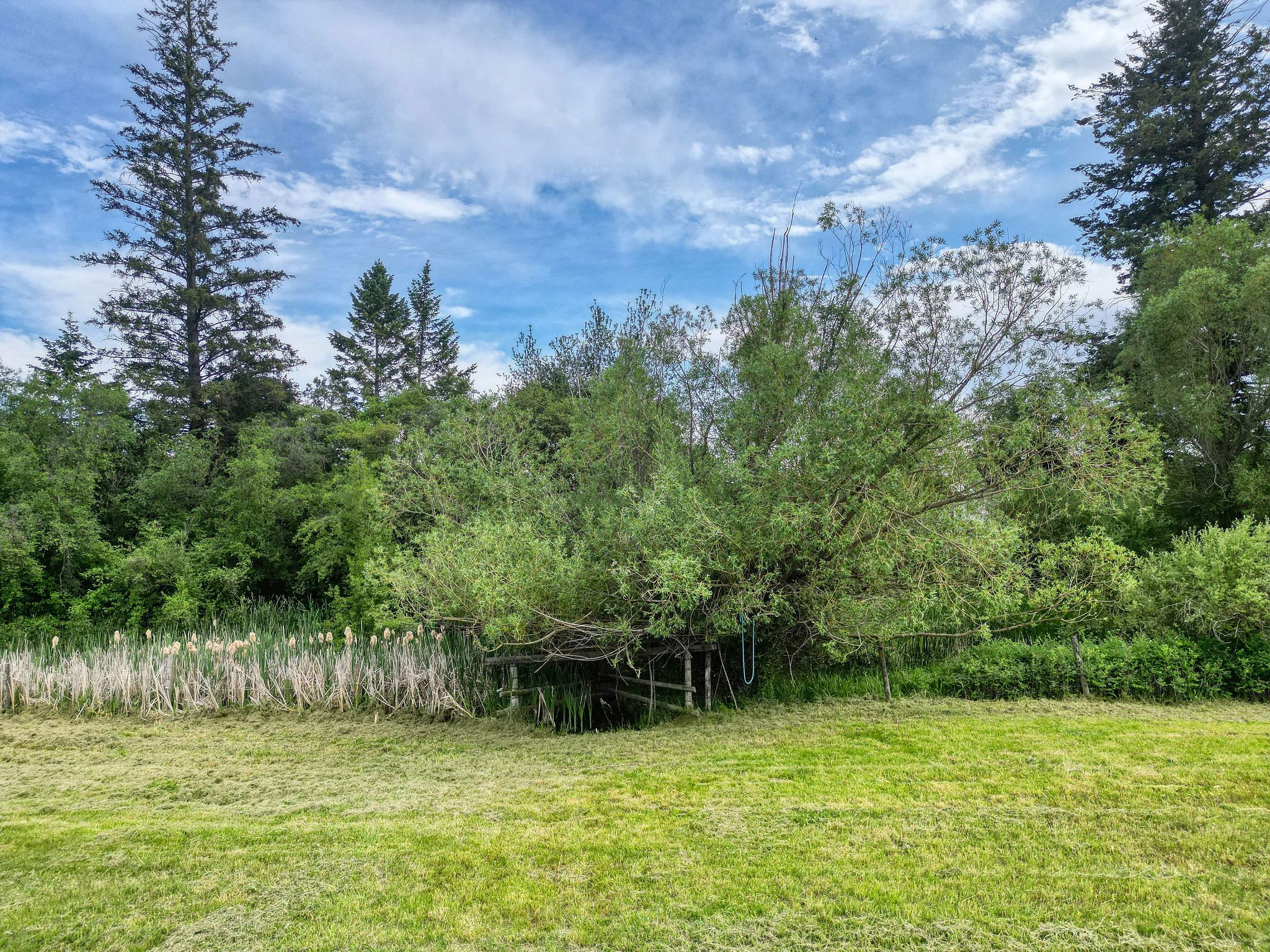 791 Springwood Lane Property Photo 19